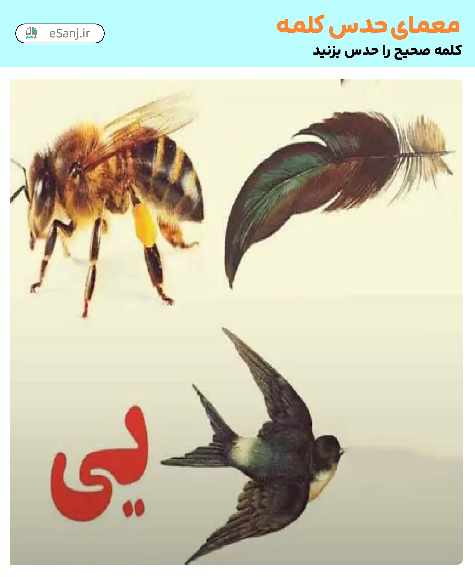 معما حدس کلمه: پرویز پرستویی