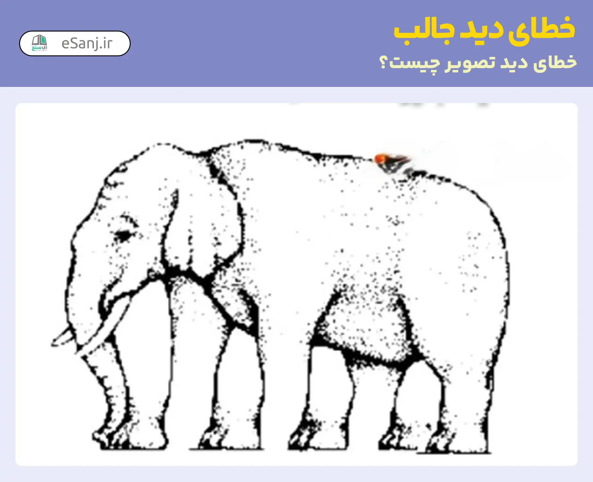 خطای دید جالب: تعداد پای فیل