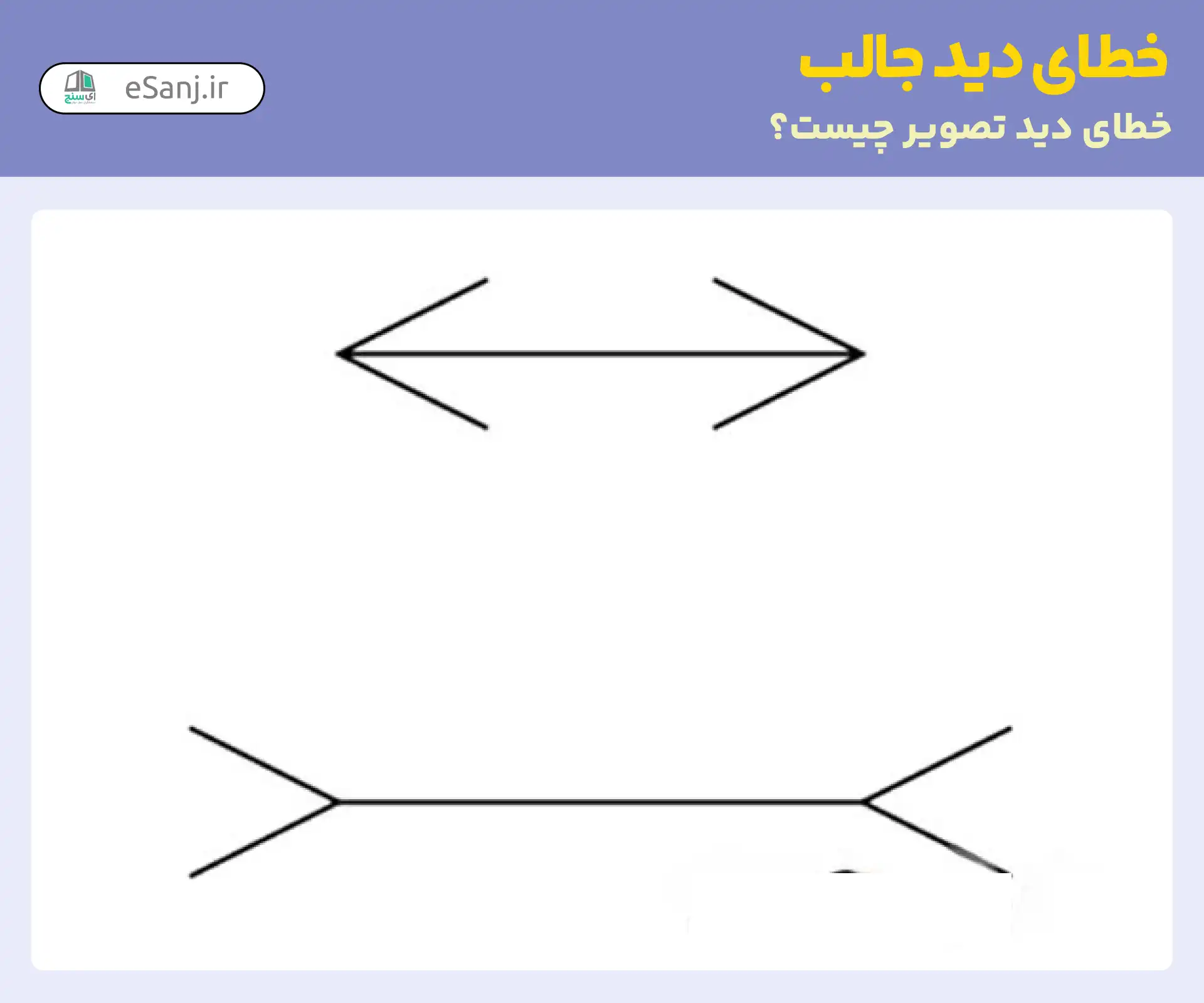 خطای دید جالب: اندازه خطوط افقی