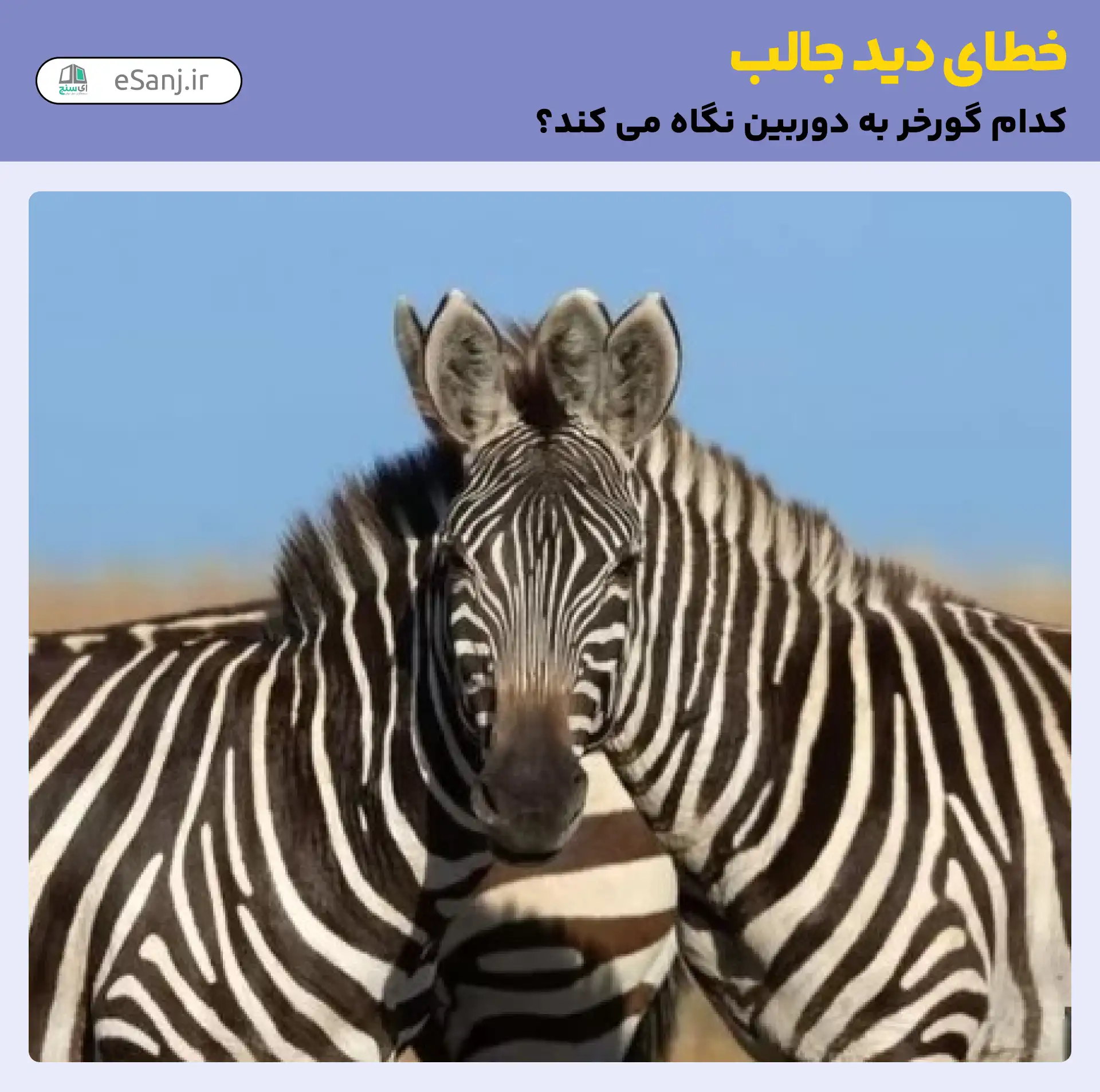 خطای دید جالب گورخر