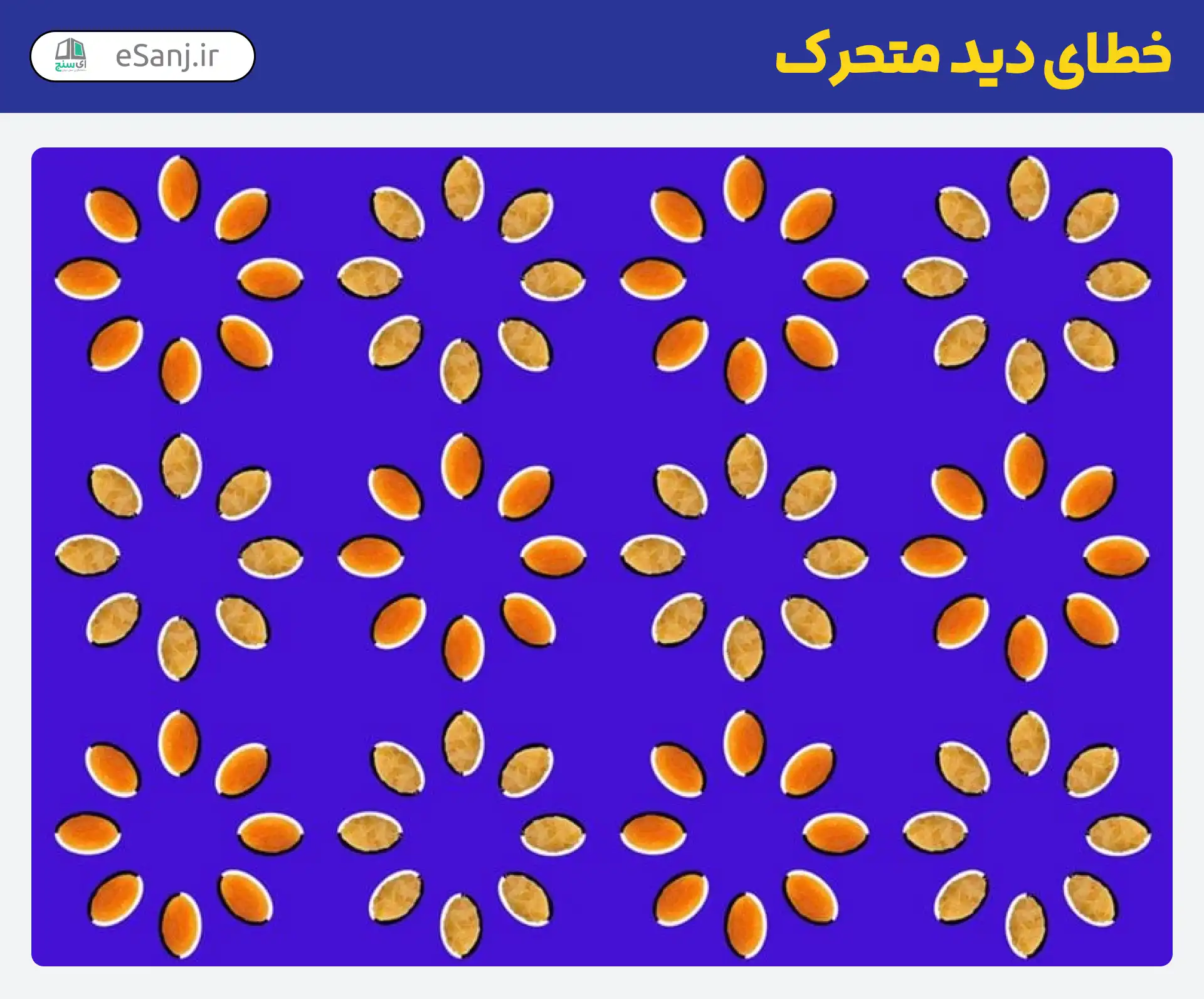 خطای دید متحرک دانه برنج