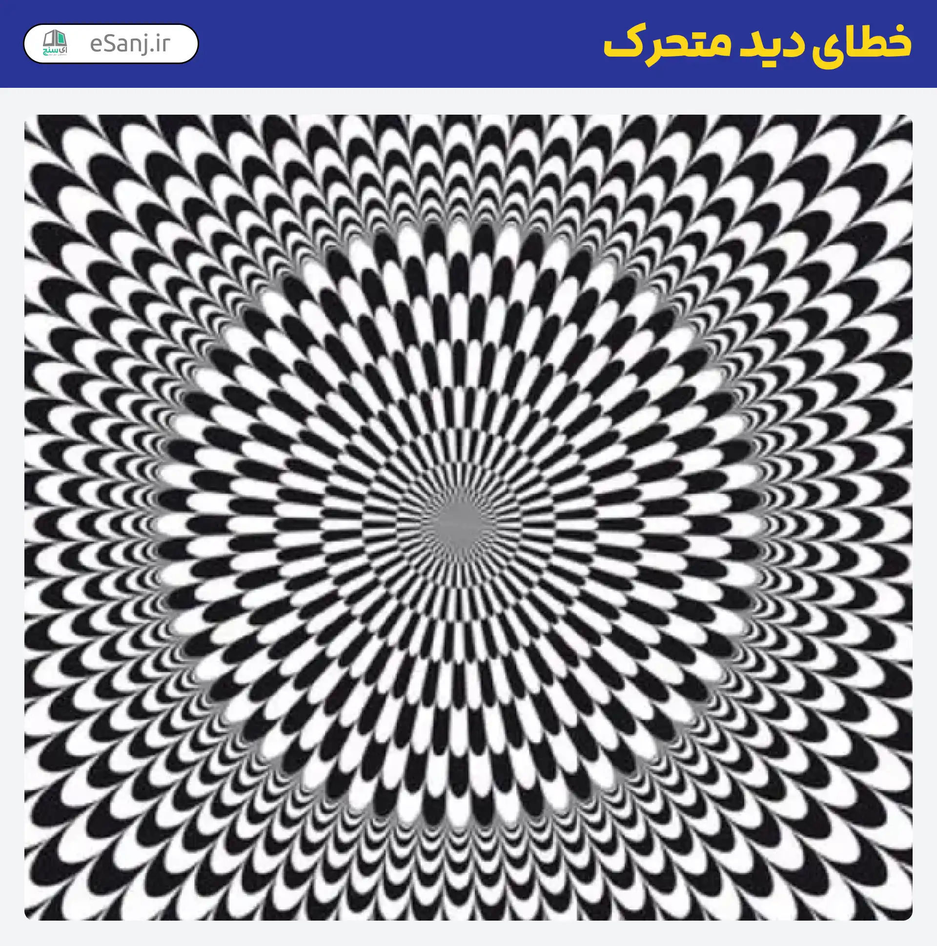 خطای دید متحرک زبرای گل