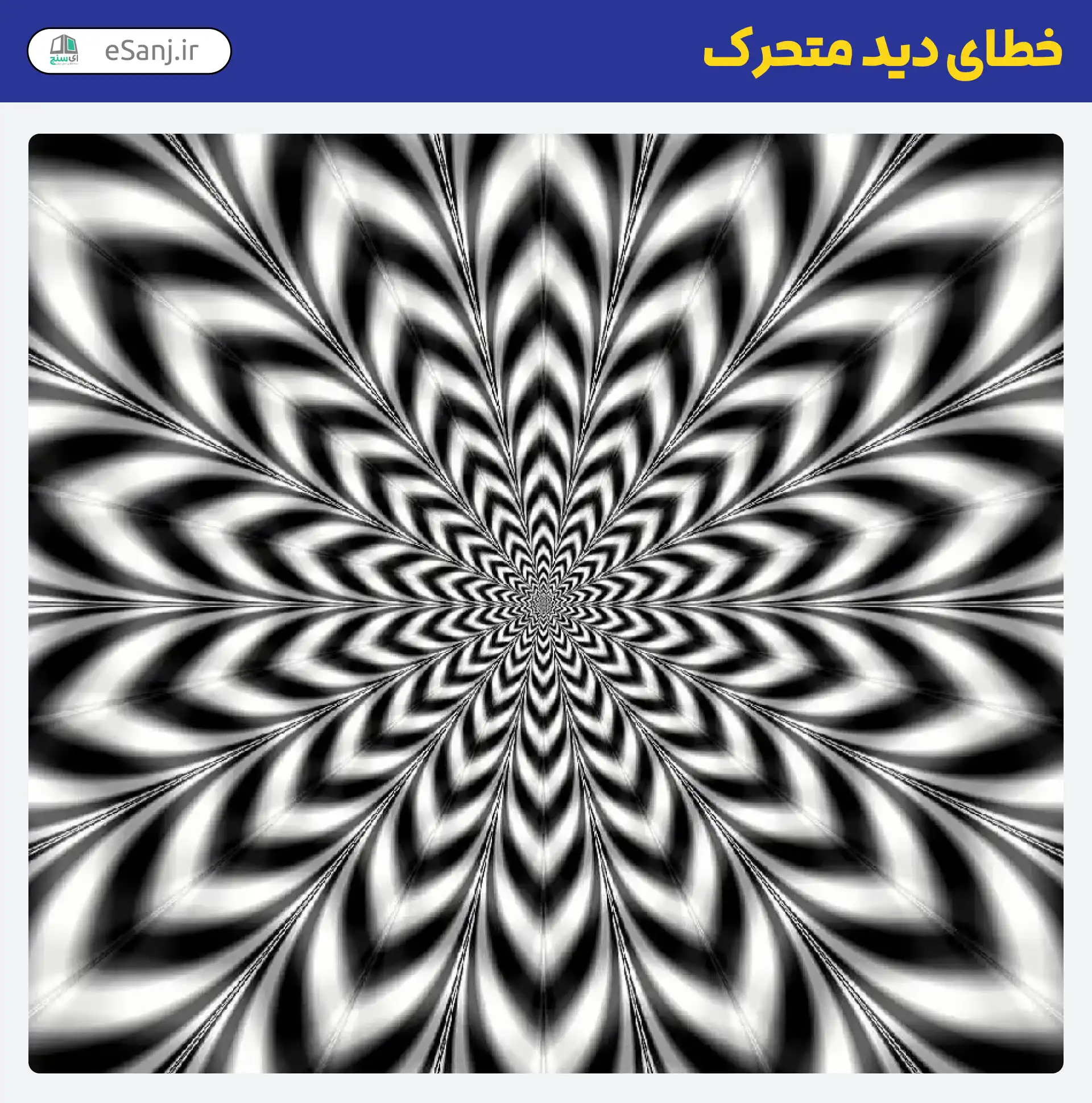 خطای دید متحرک گل زبرا