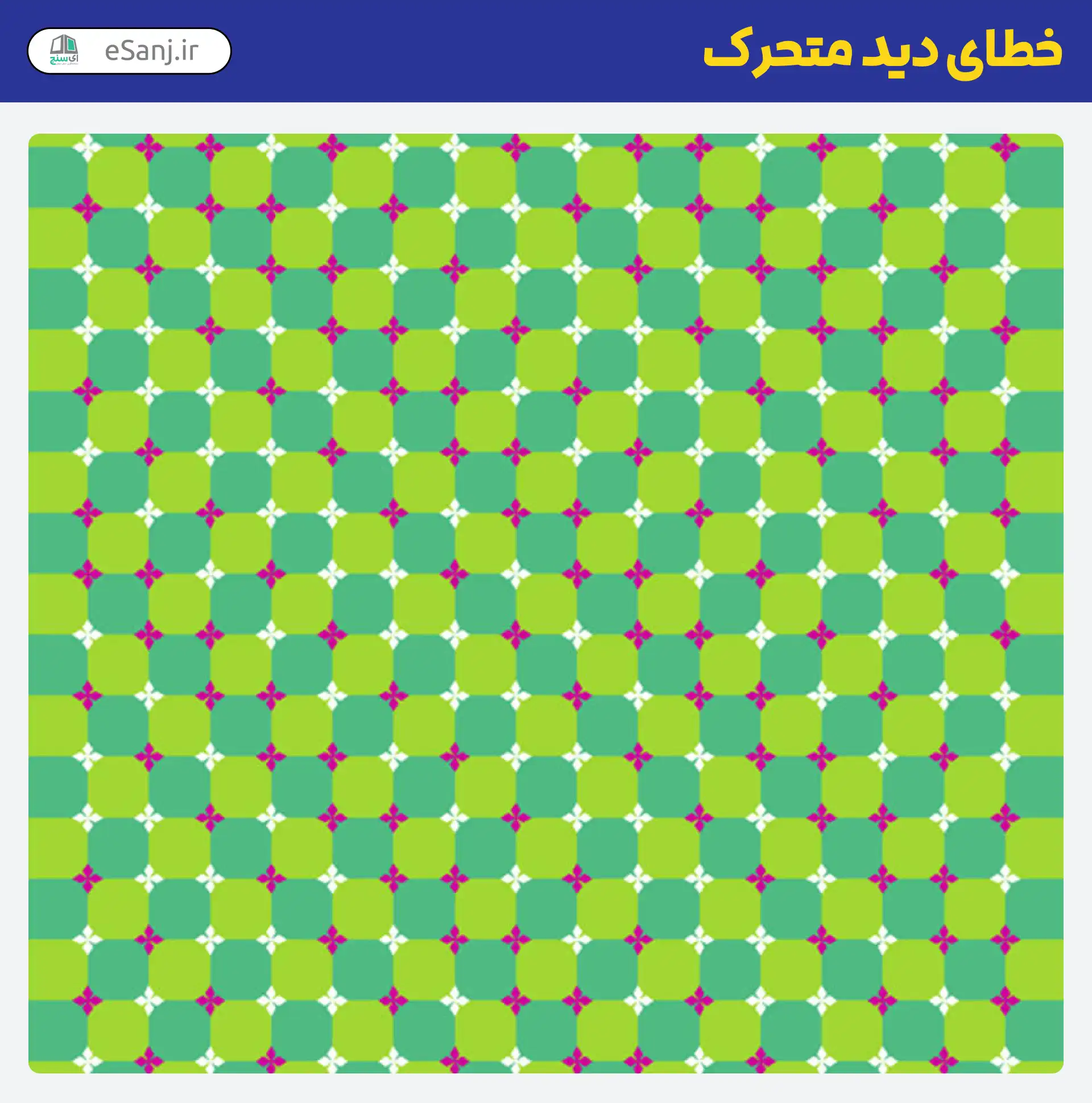 خطای دید متحرک گل شبدر