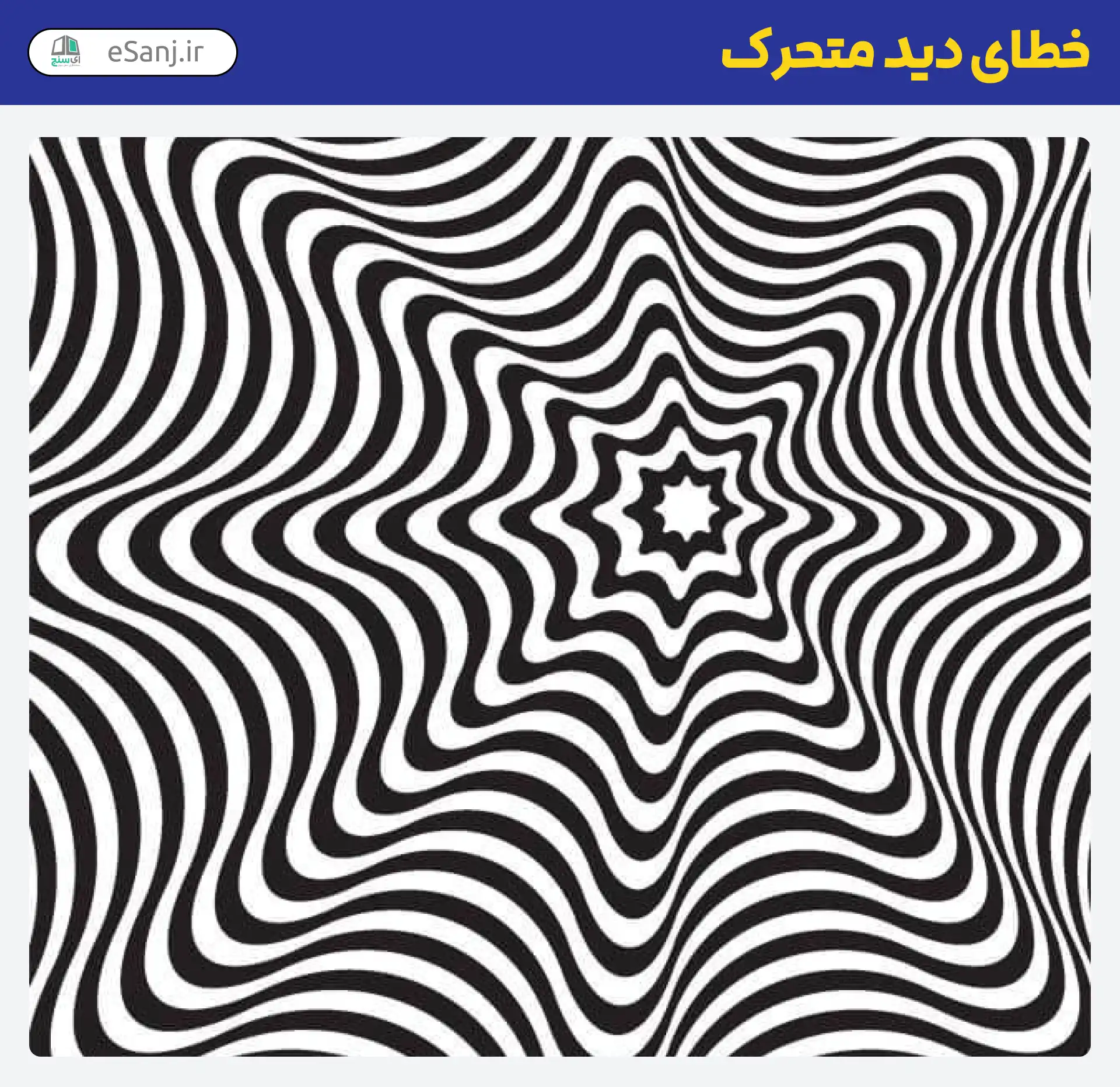 خطای دید متحرک زبرا