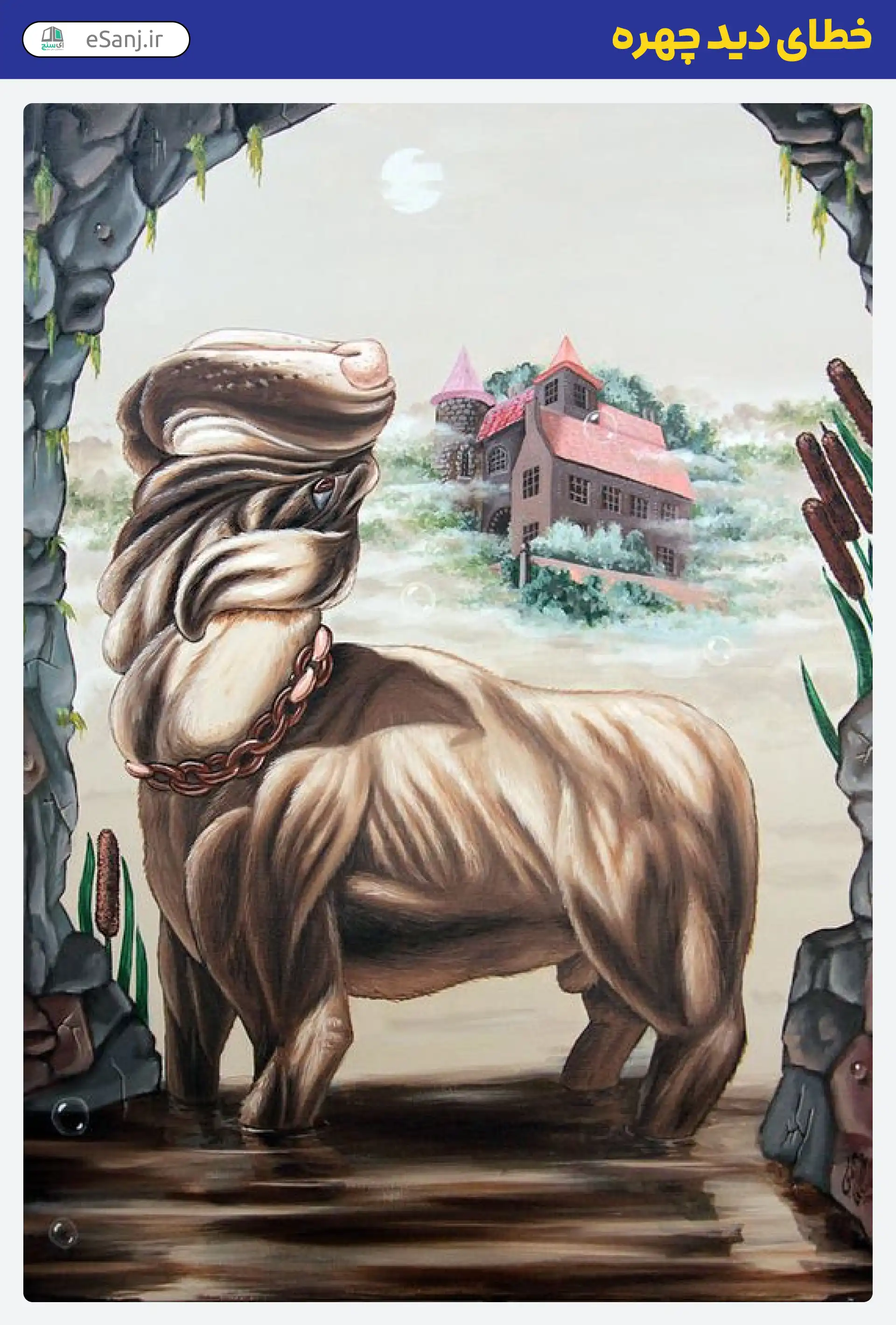 خطای دید چهره مجسمه و چهره پیرمرد