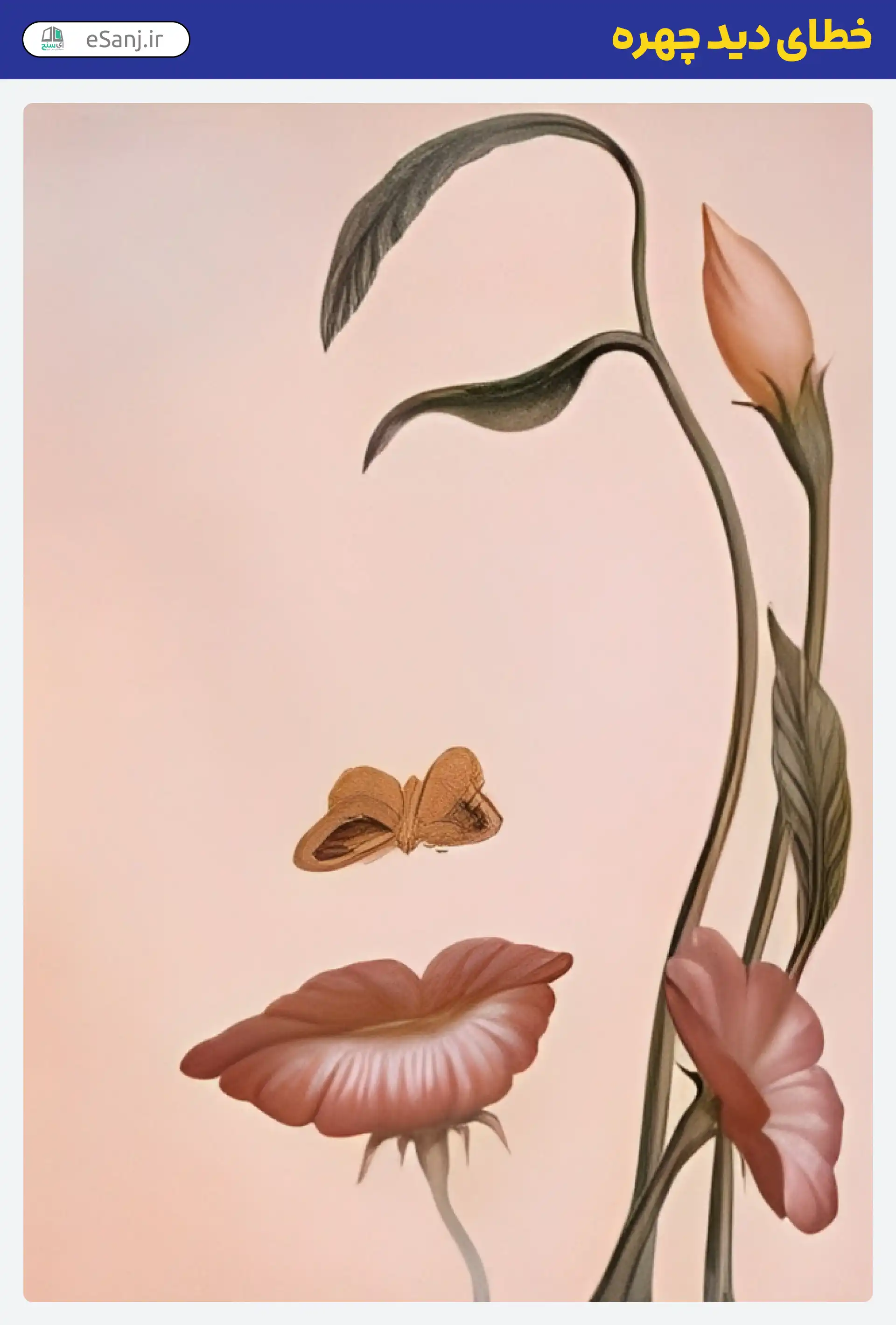 خطای دید چهره گل و برگ
