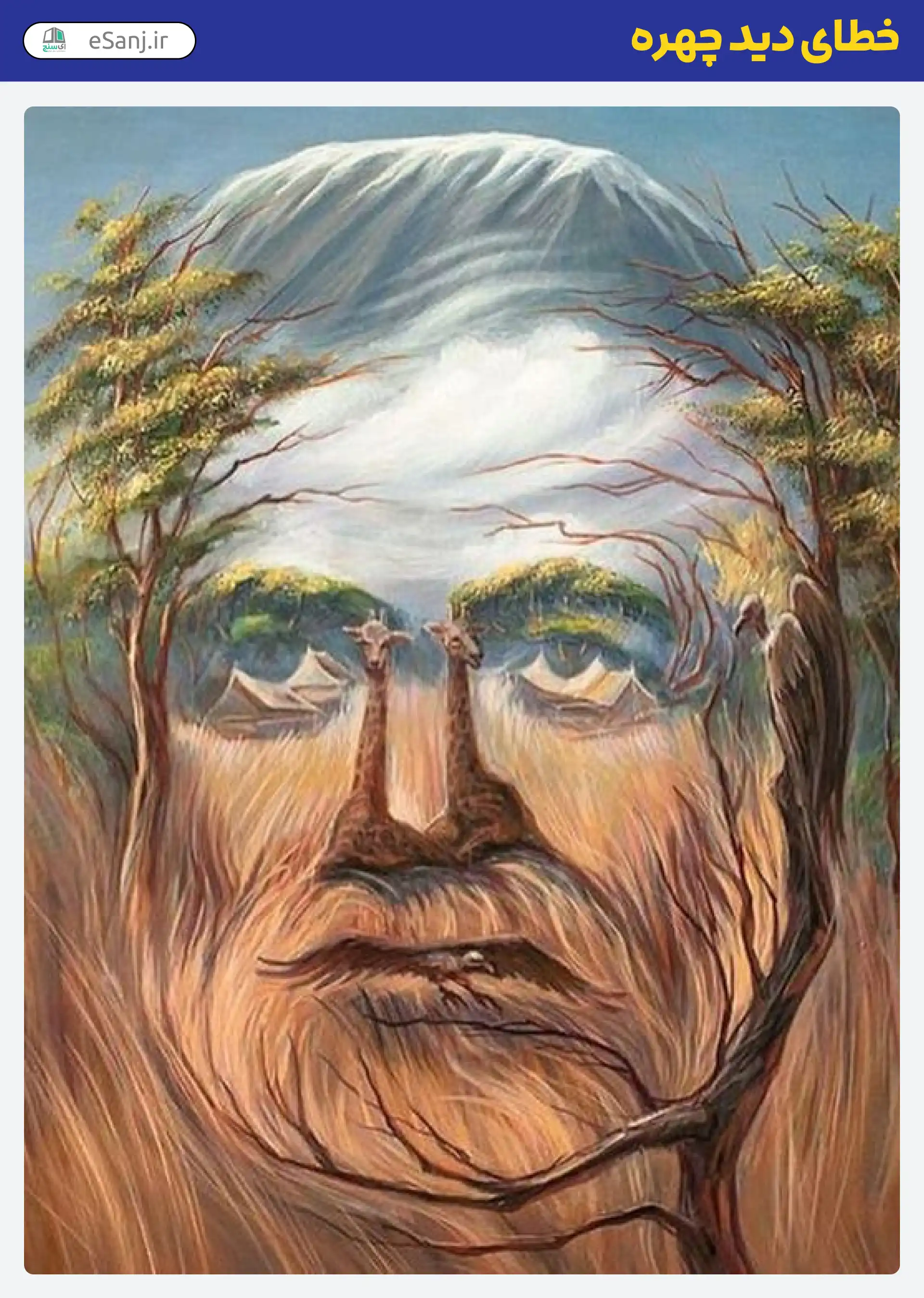 خطای دید چهره جنگل