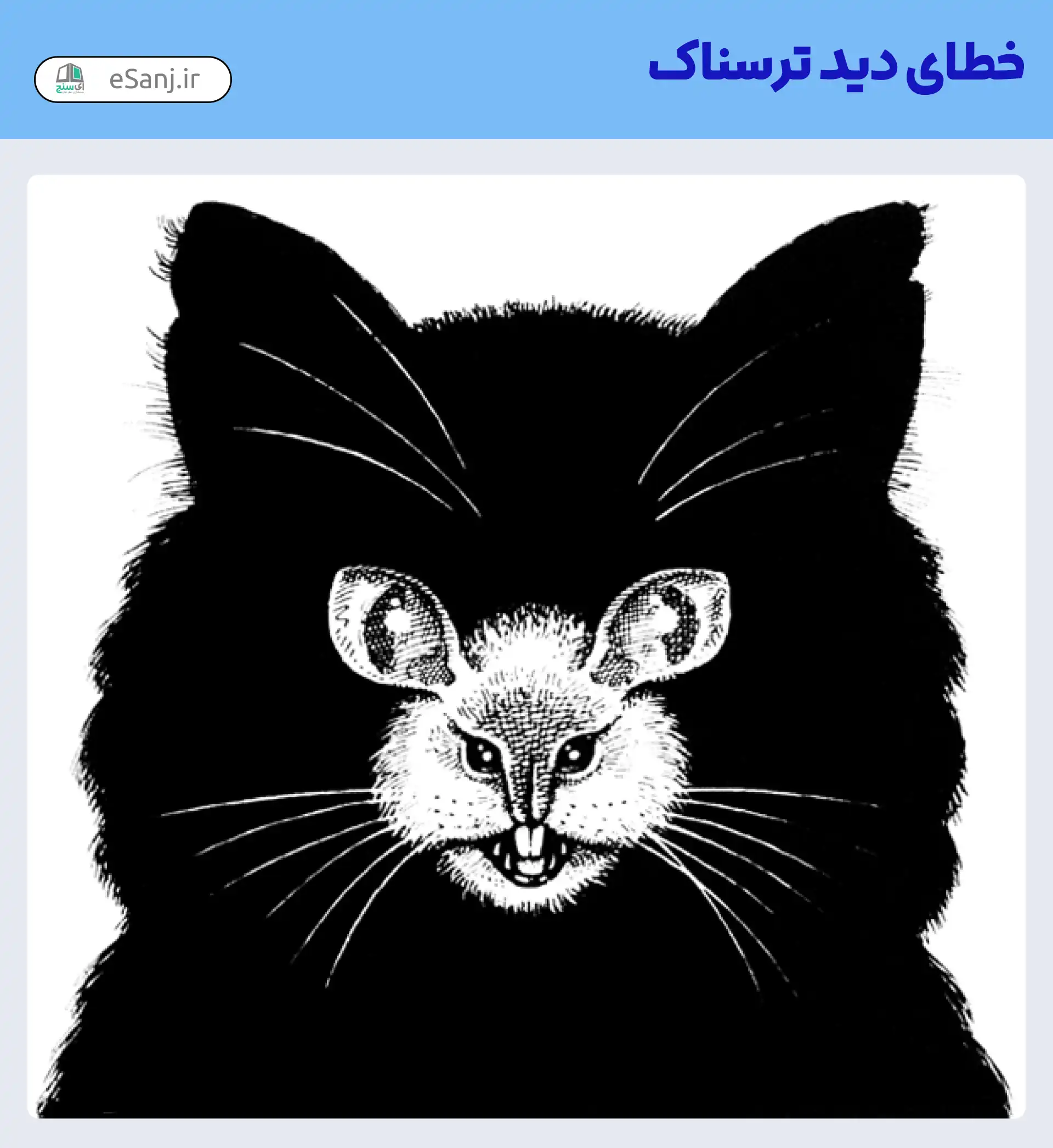 خطای دید ترسناک گربه و موش