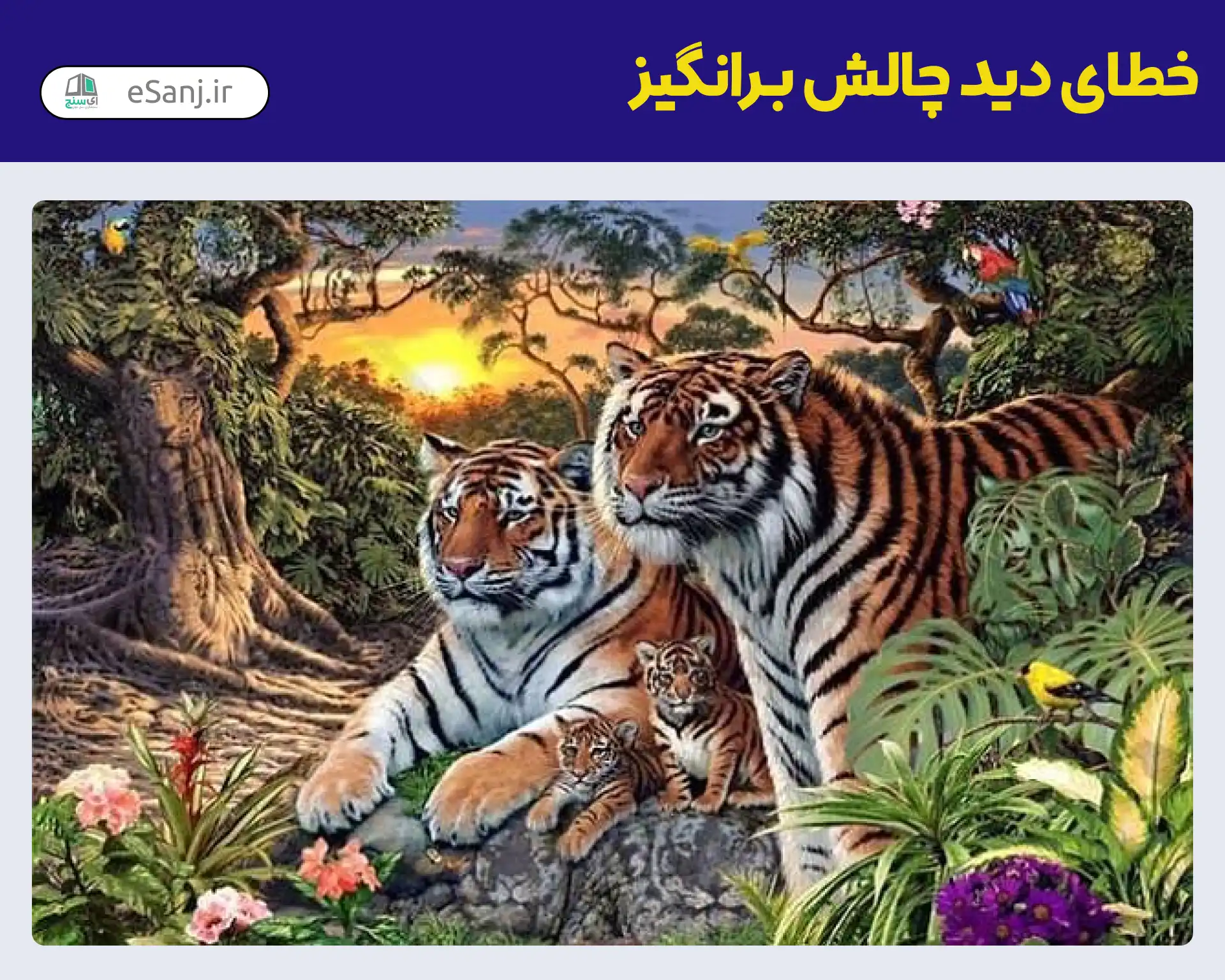خطای دید چالش برانگیز تعداد ببرها