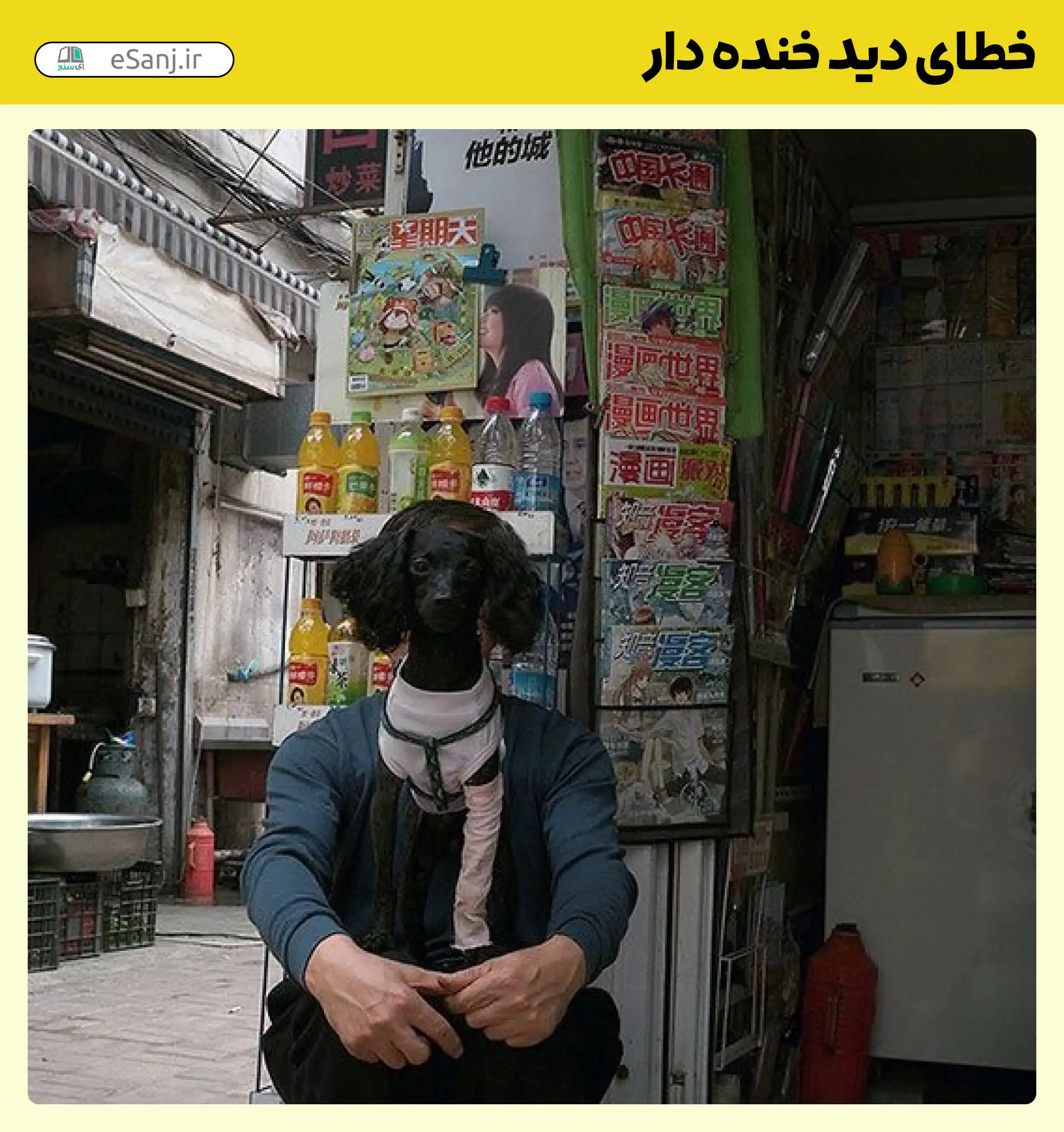 خطای دید خنده دار سگ نشسته