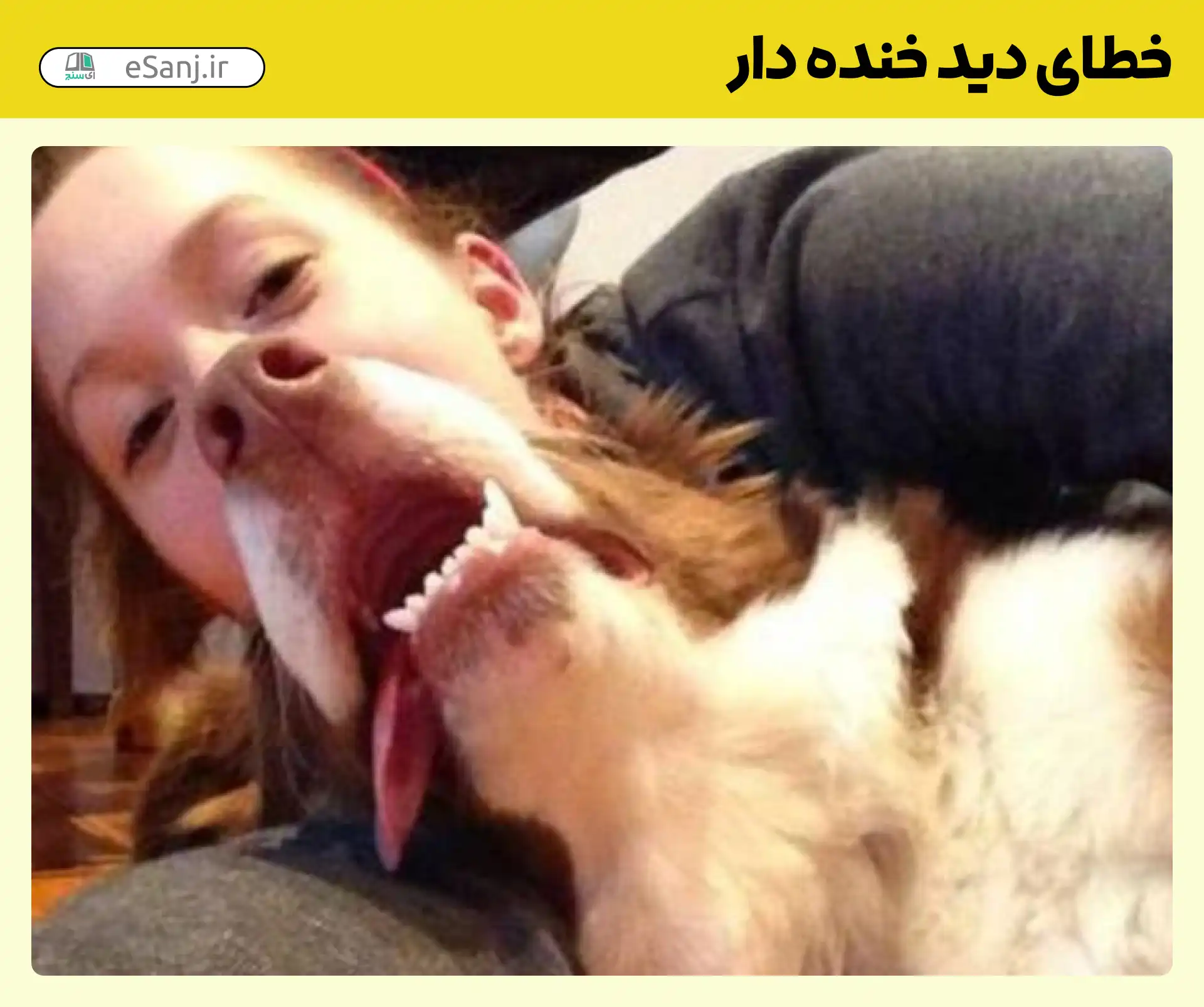 خطای دید خنده دار خمیازه سگ