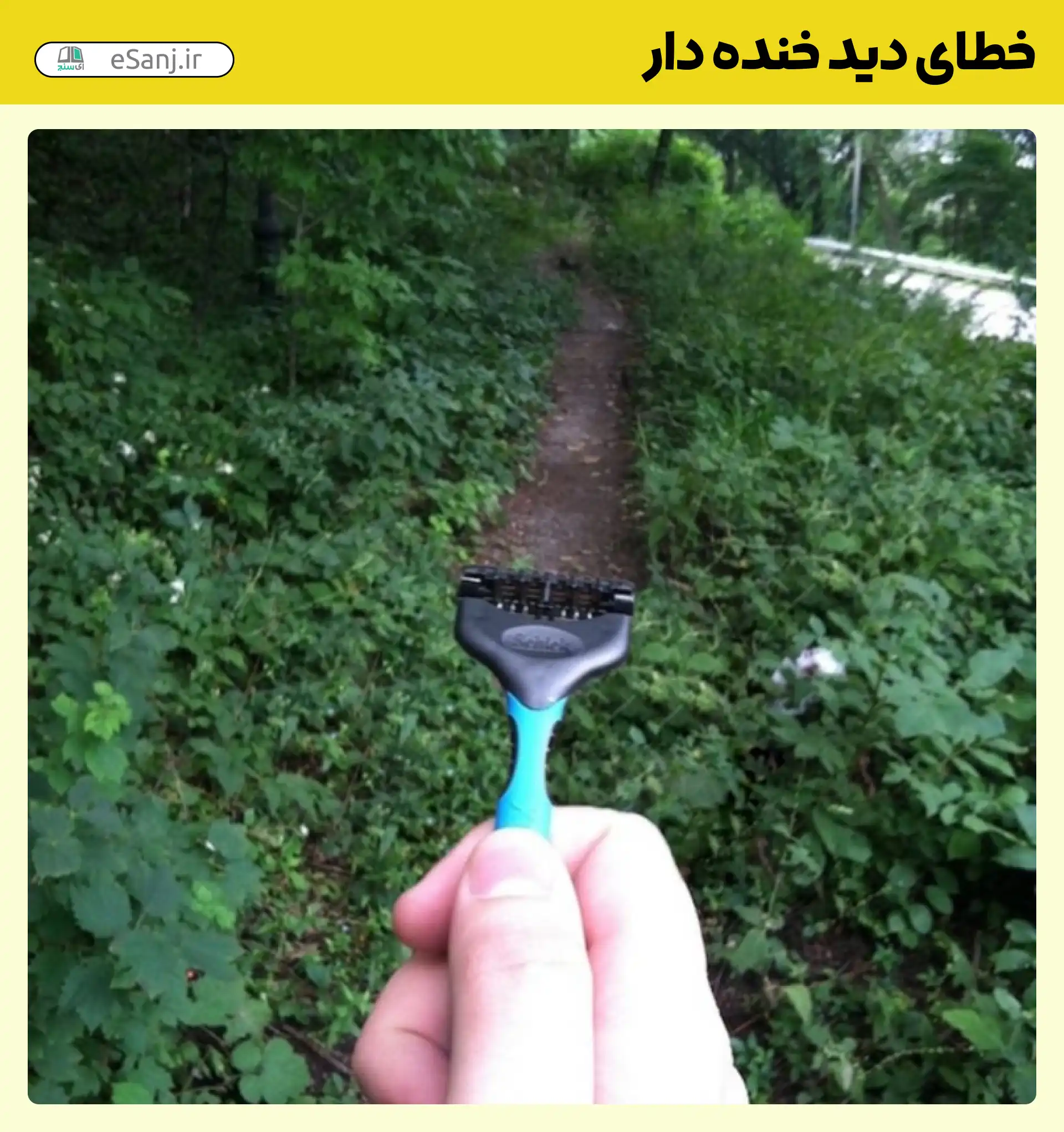 خطای دید خنده دار ژیلت