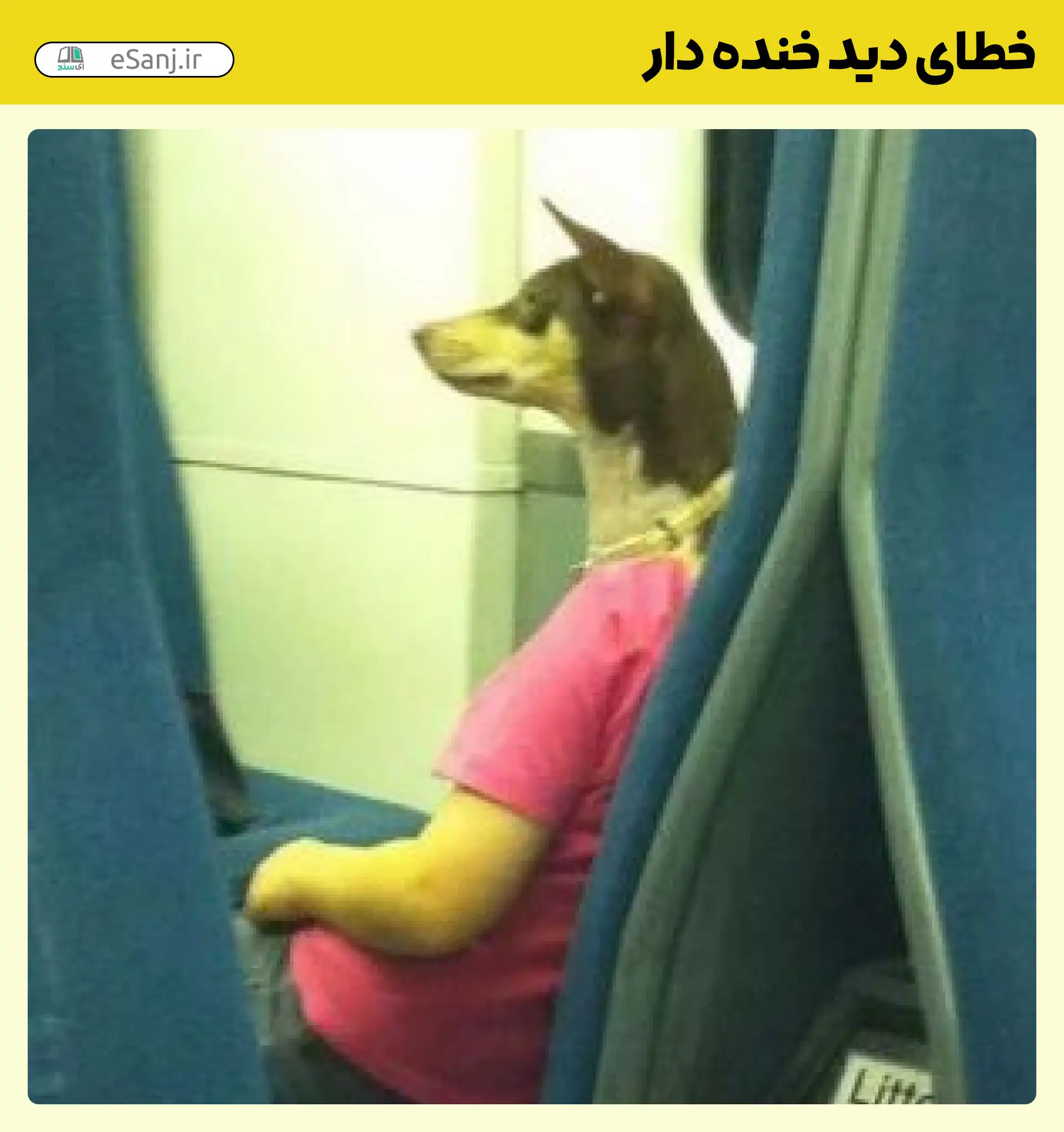 خطای دید خنده دار سگ در اتوبوس