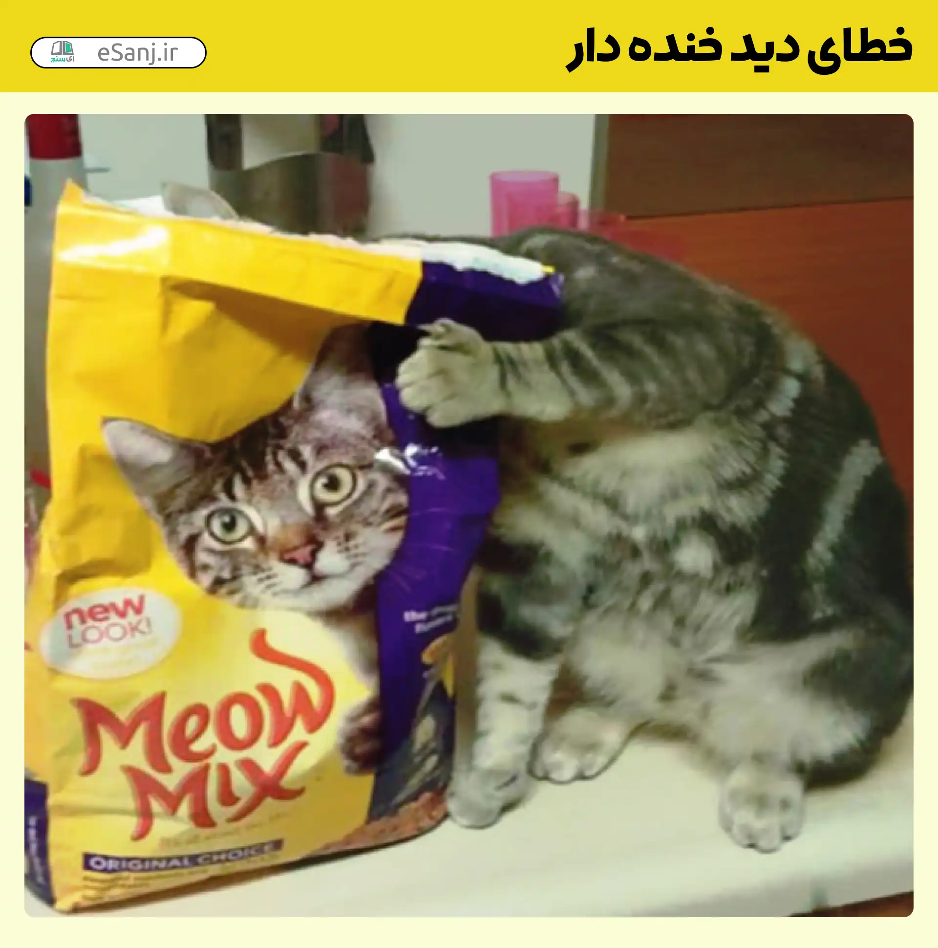 خطای دید خنده دار سر گربه