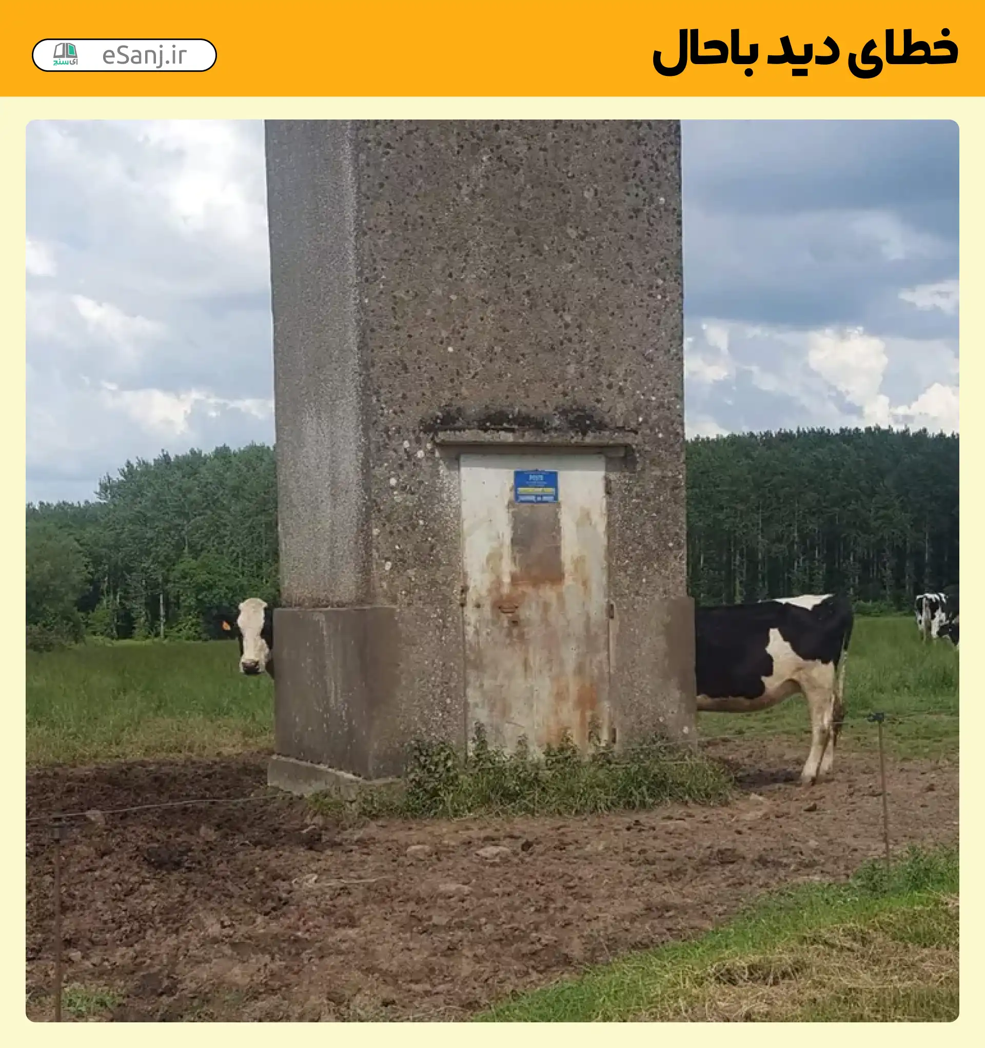 خطای دید باحال گاو دراز