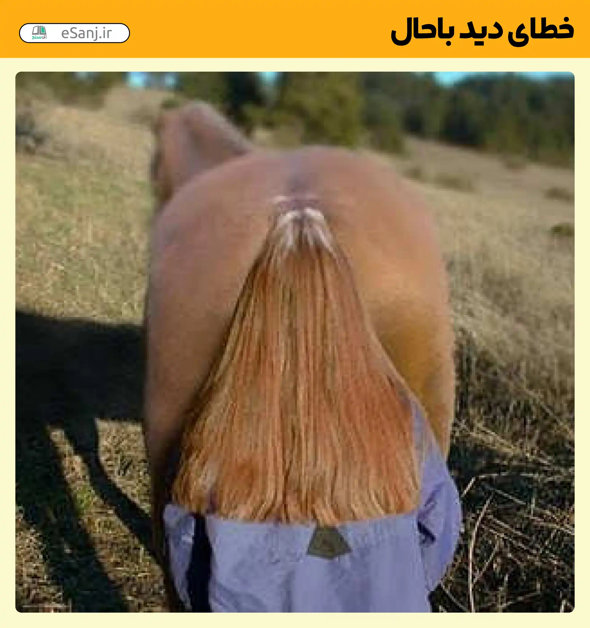 خطای دید باحال دم اسب
