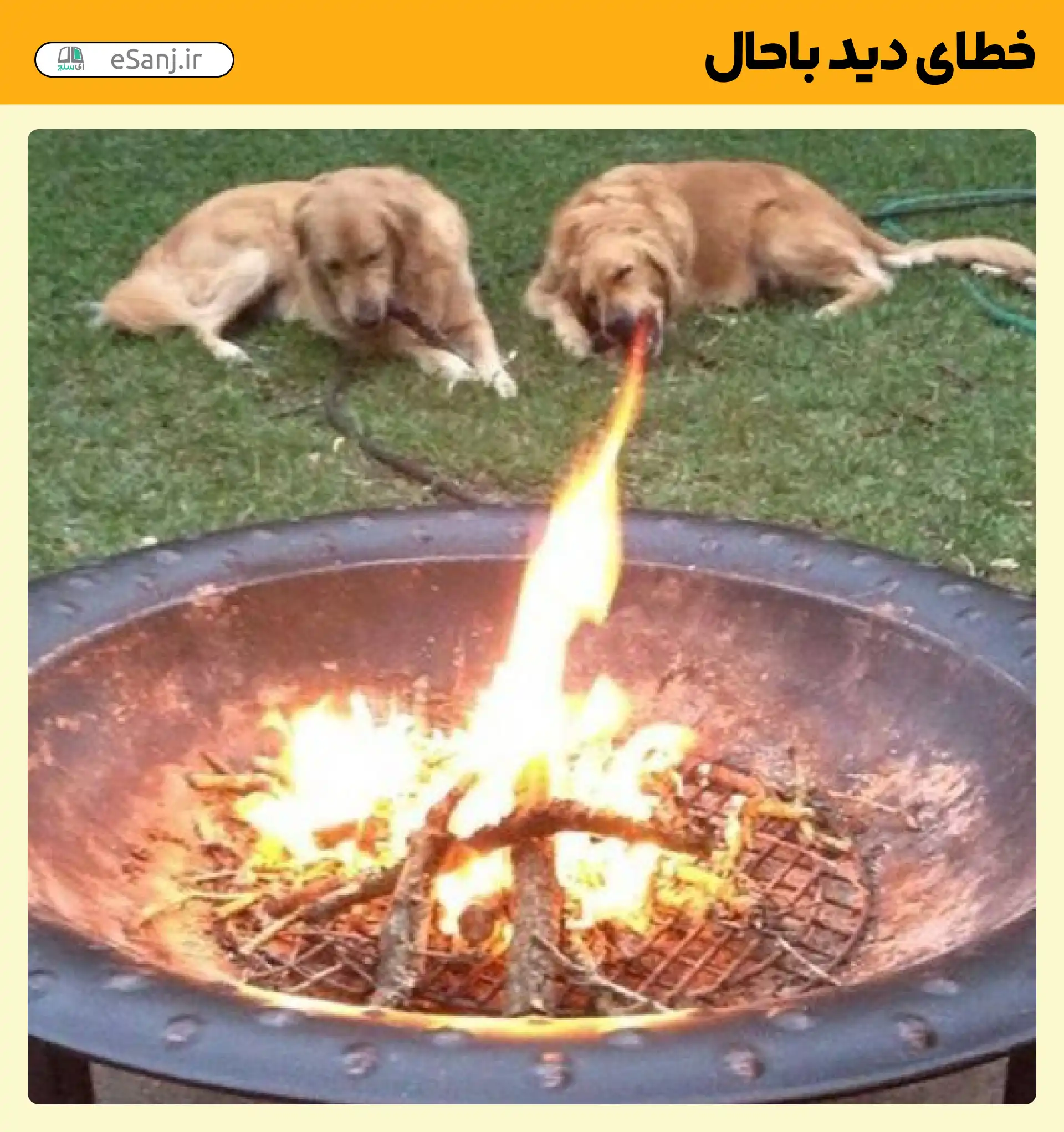 خطای دید باحال آتش در دهان سگ