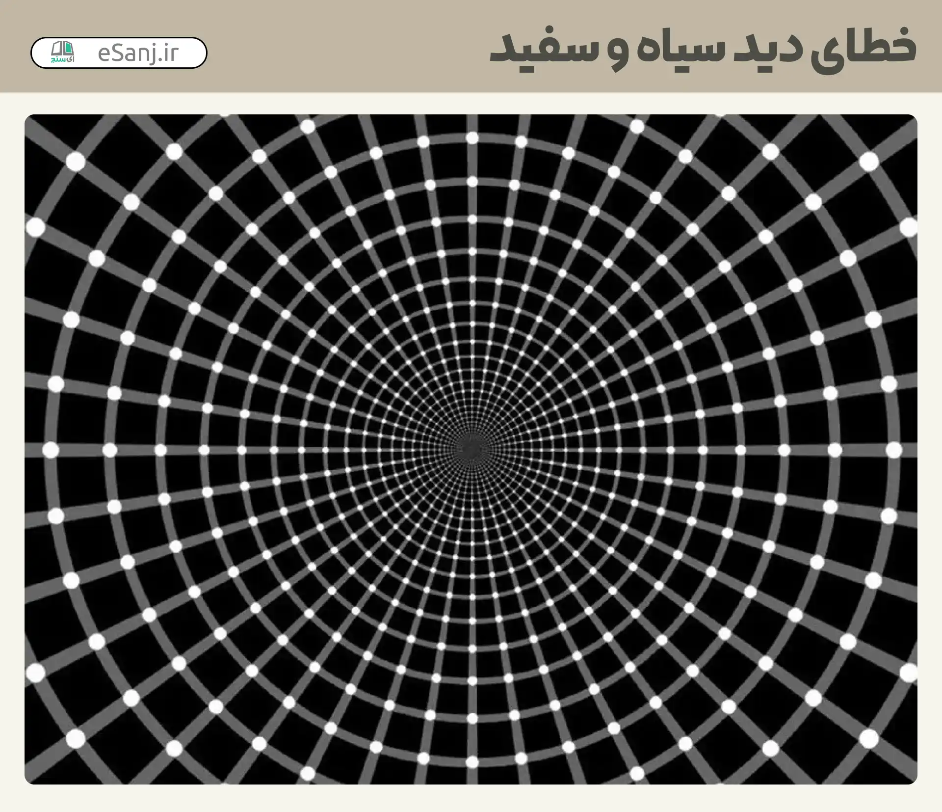 خطای دید سیاه و سفید شماره 61