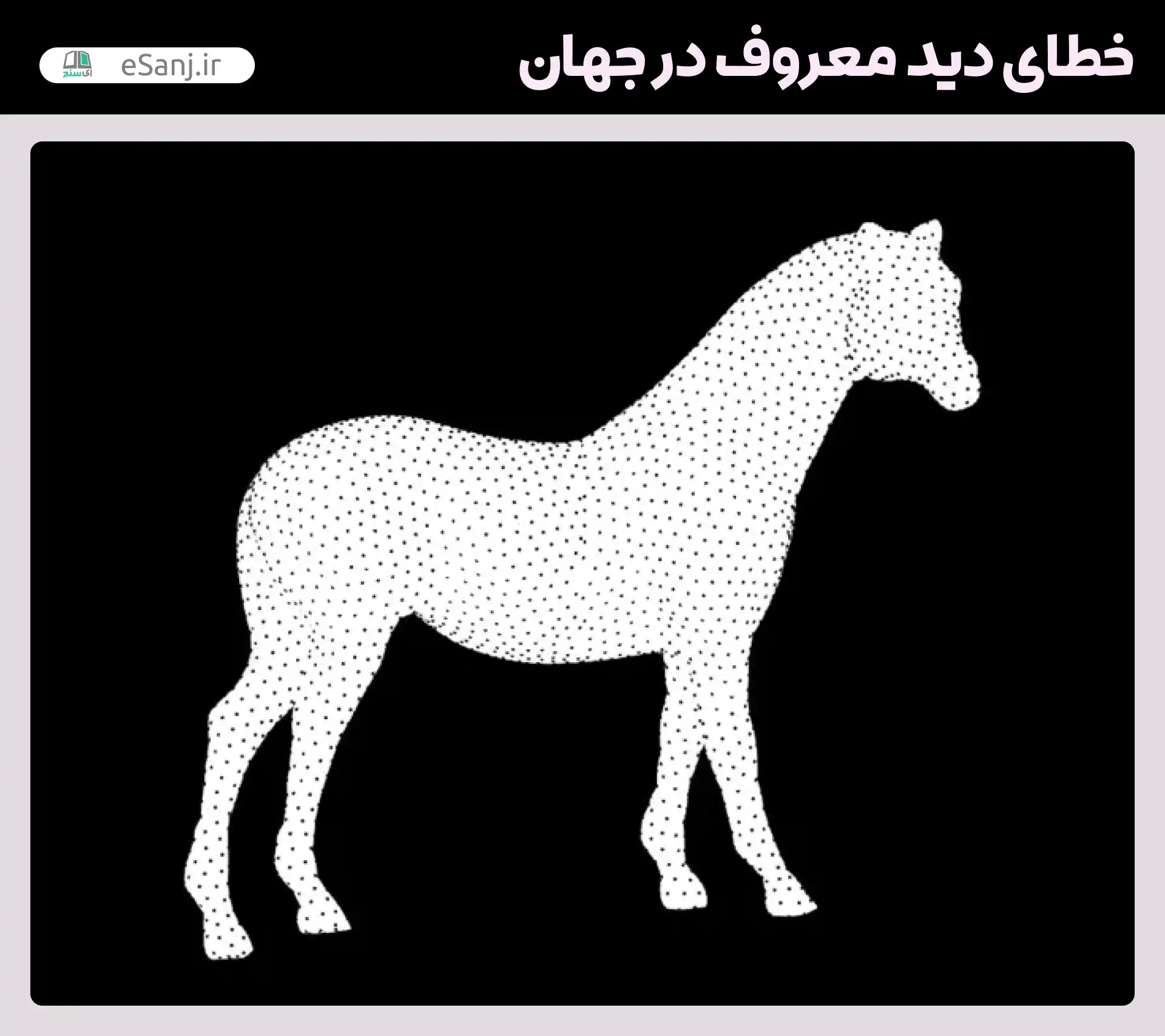معروف ترین خطاهای دید در جهان اسب در حال چرخش