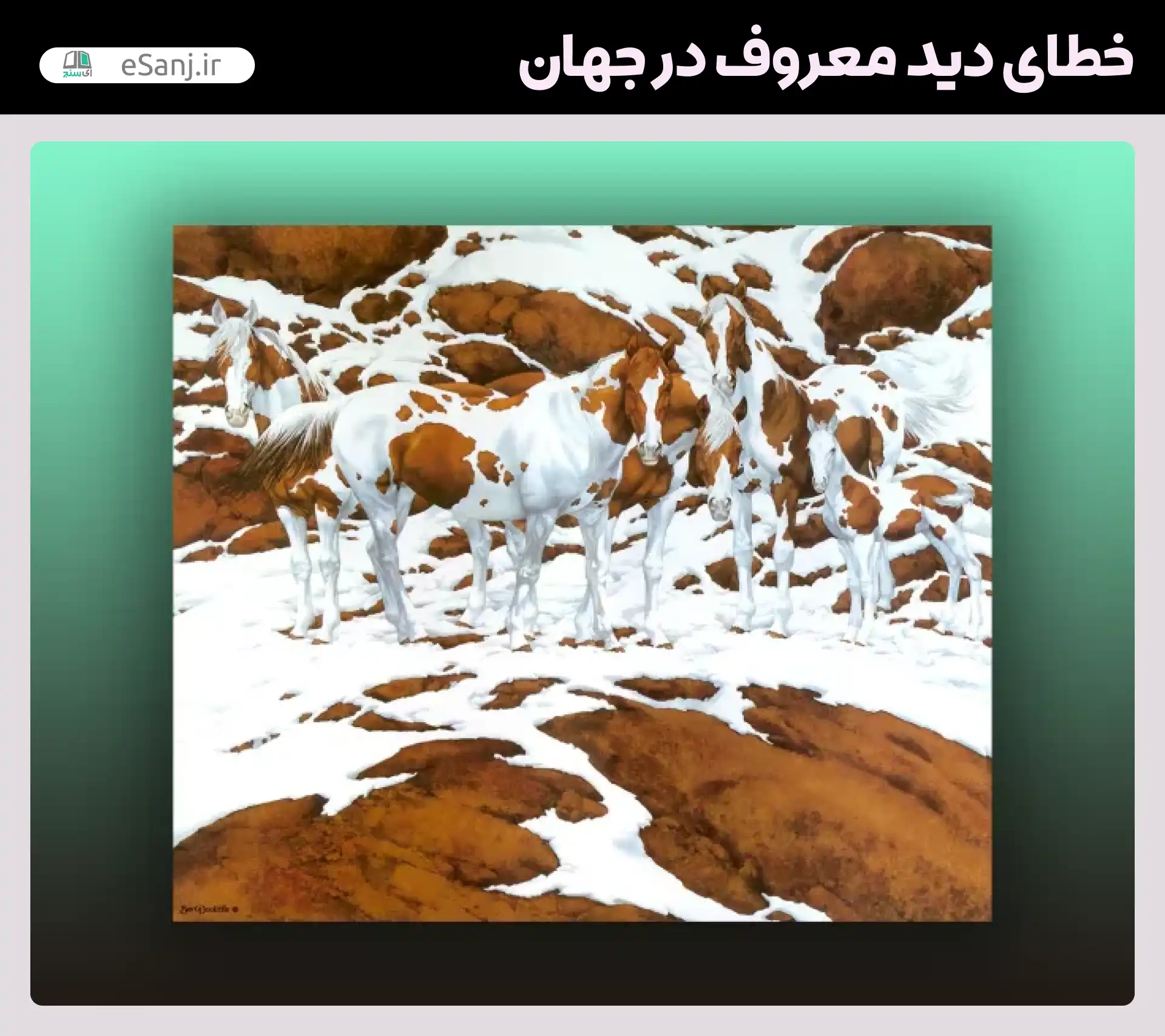 معروف ترین خطاهای دید در جهان توهم تعداد اسب ها