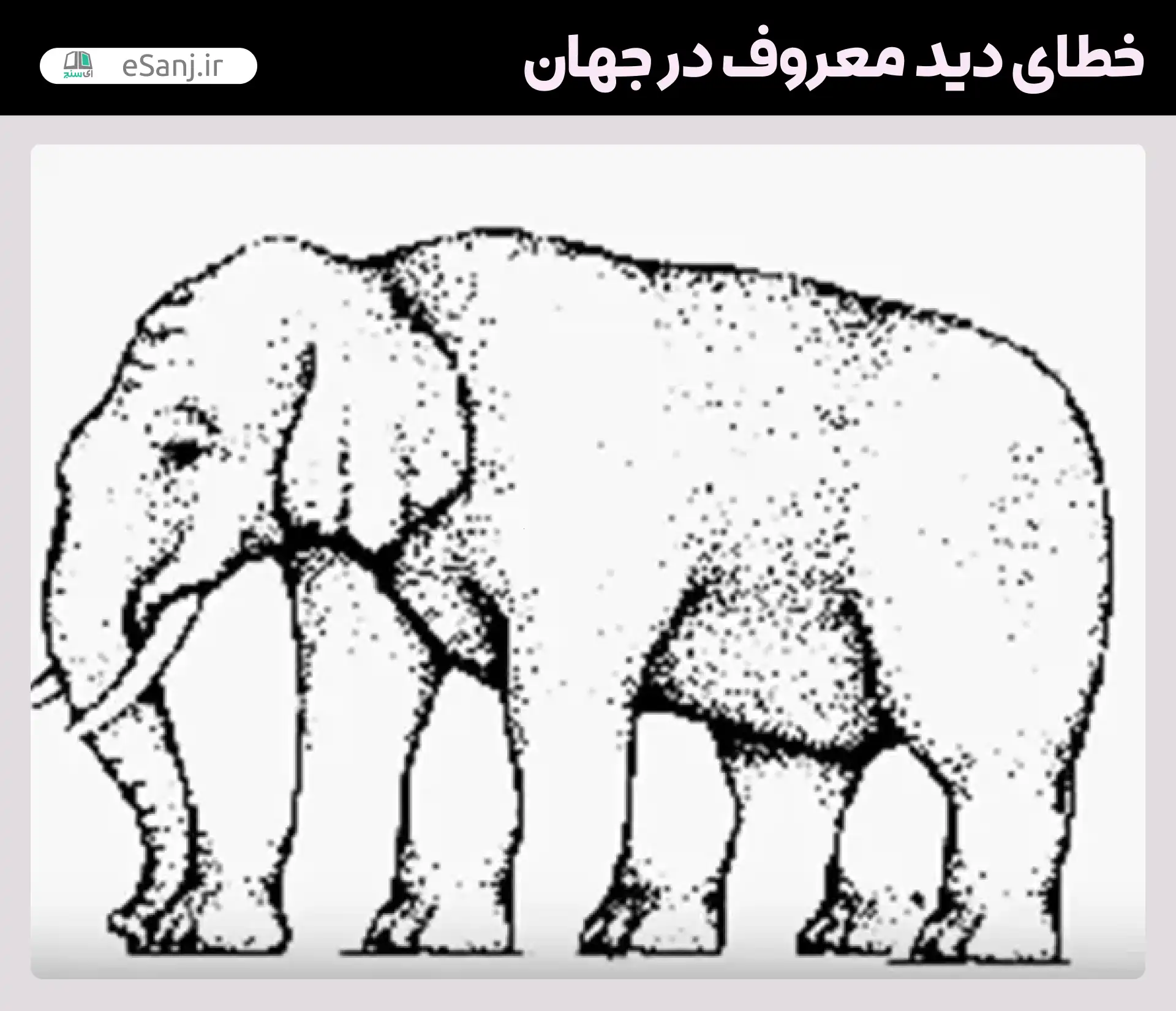 معروف ترین خطاهای دید در جهان تعداد پای فیل