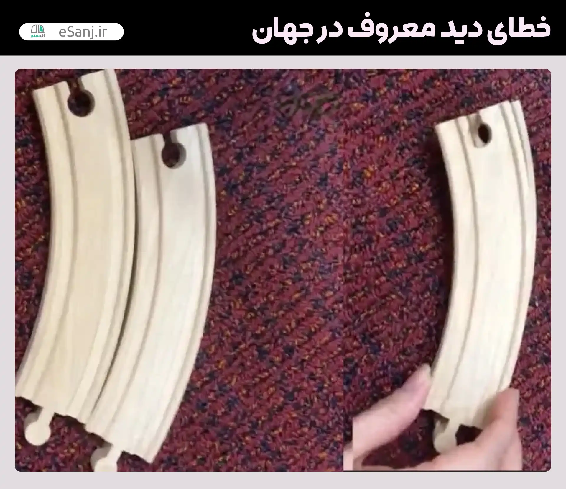 معروف ترین خطاهای دید در جهان توهم جسترو