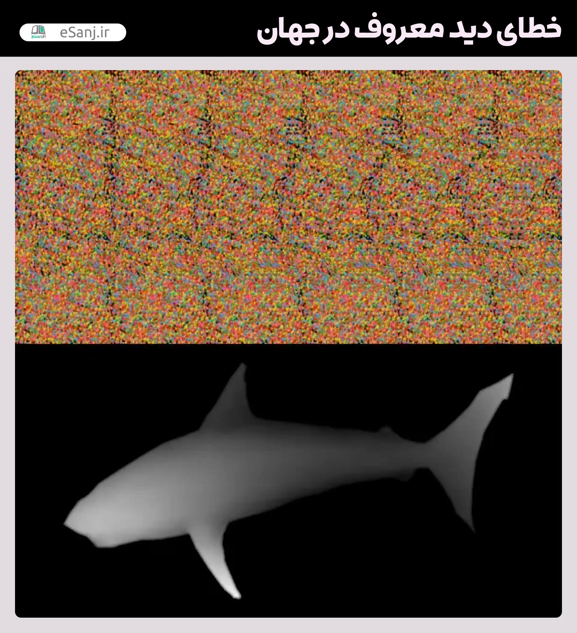 معروف ترین خطاهای دید در جهان خطای چشم جادویی