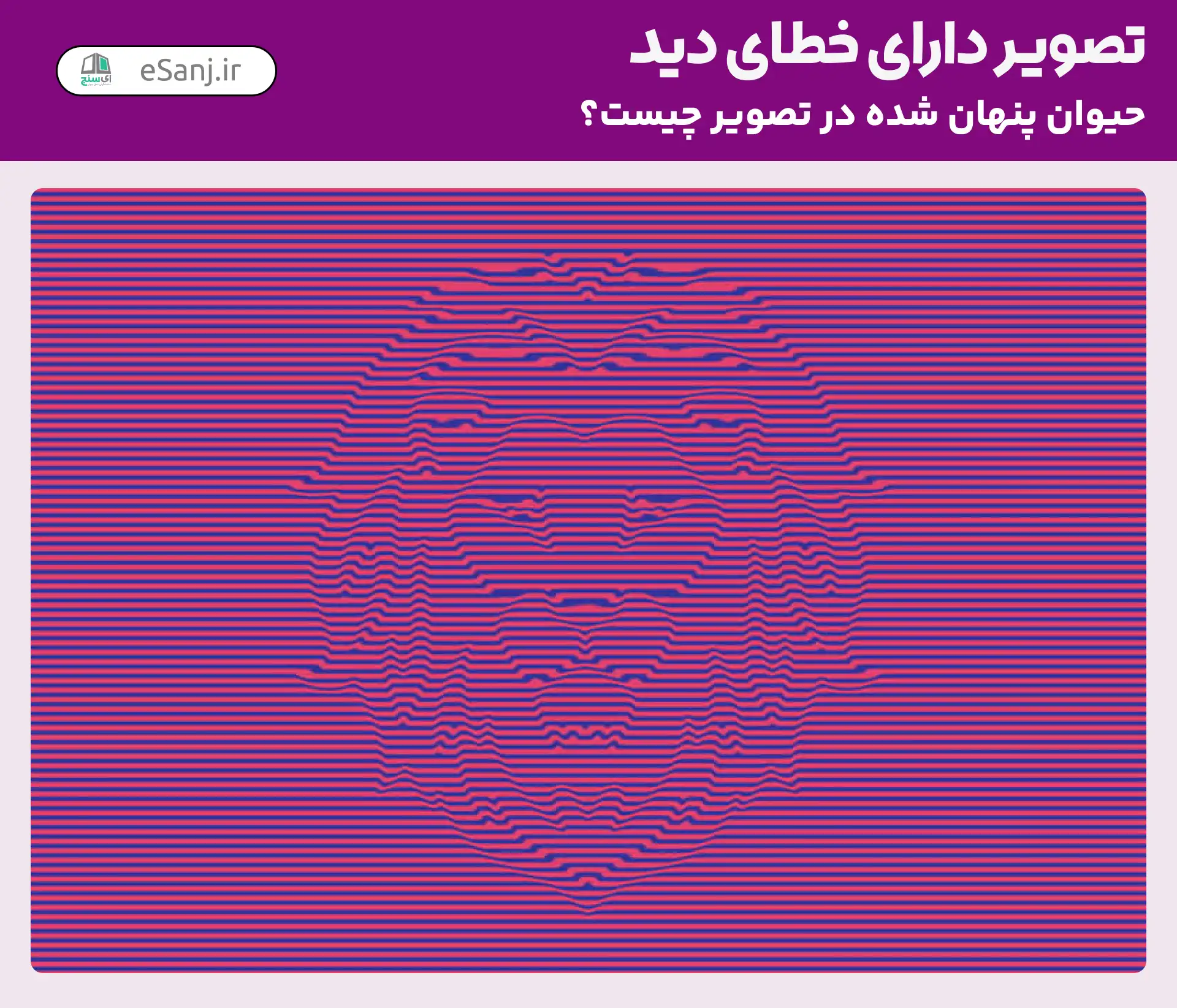 تصویر دارای خطای دید: چه حیوانی در تصویر پنهان شده است؟