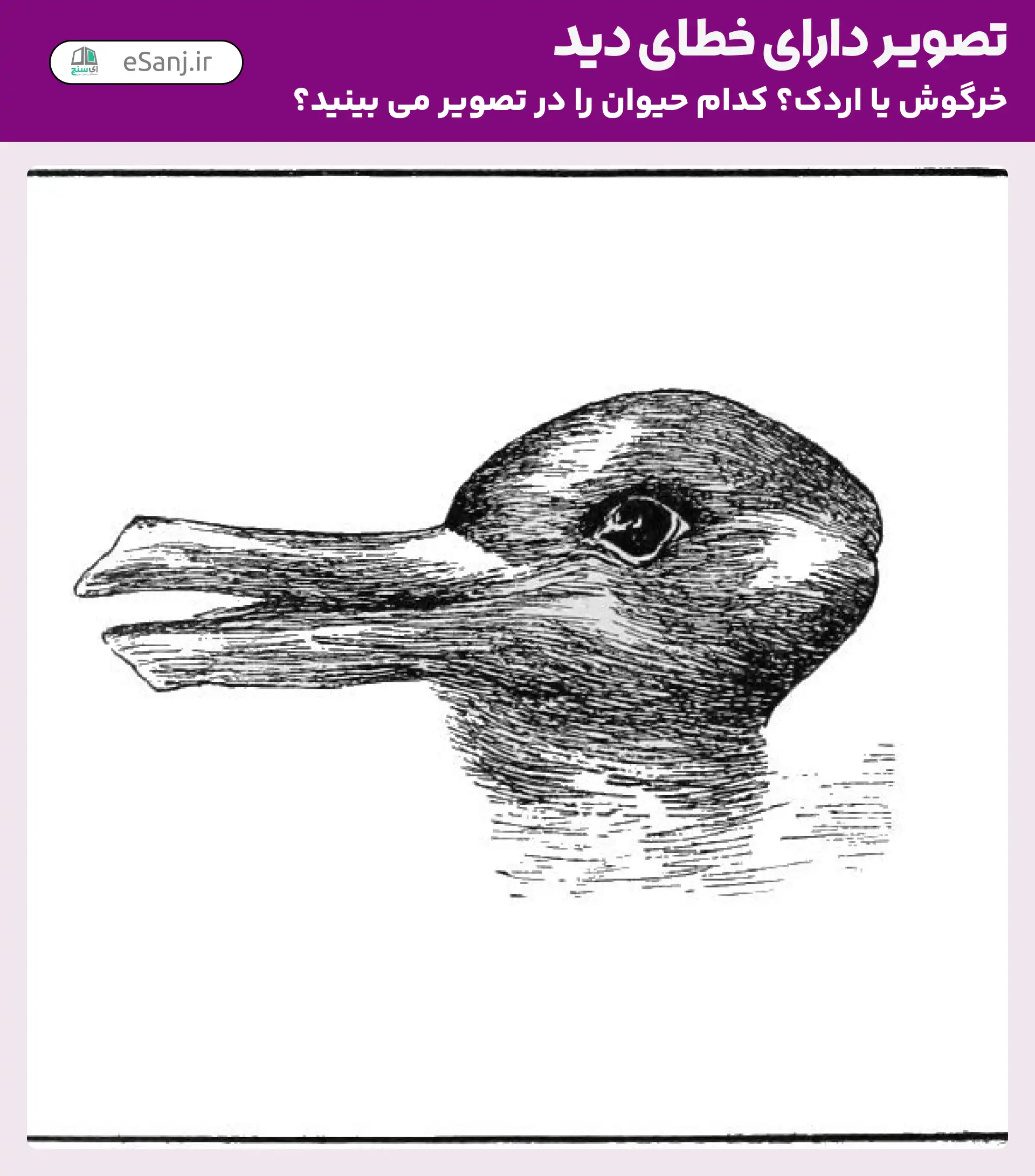 تصویر دارای خطای دید: در تصویر اردک می بینید یا خرگوش؟