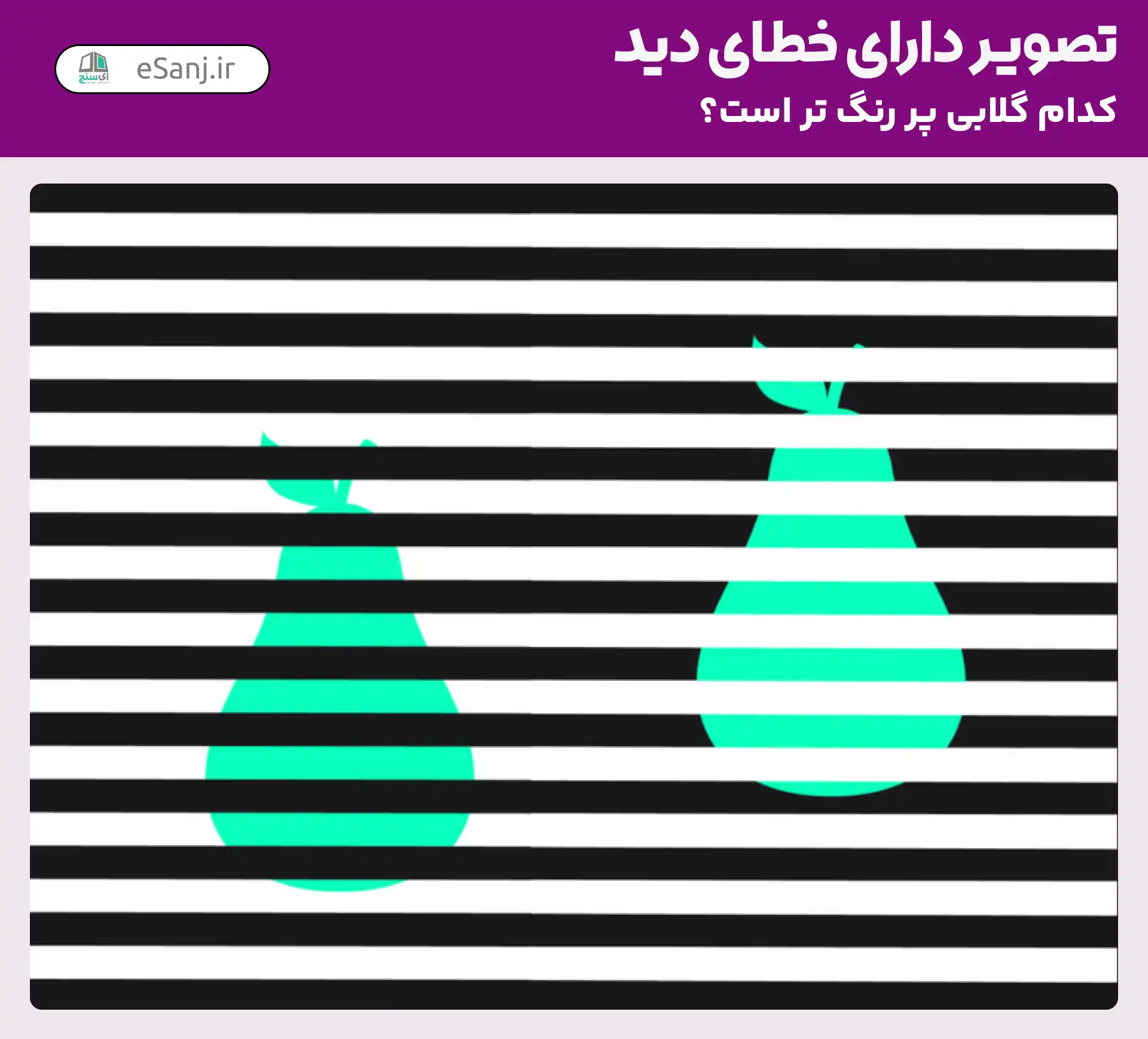 تصویر دارای خطای دید: کدام گلابی تیره تر است؟