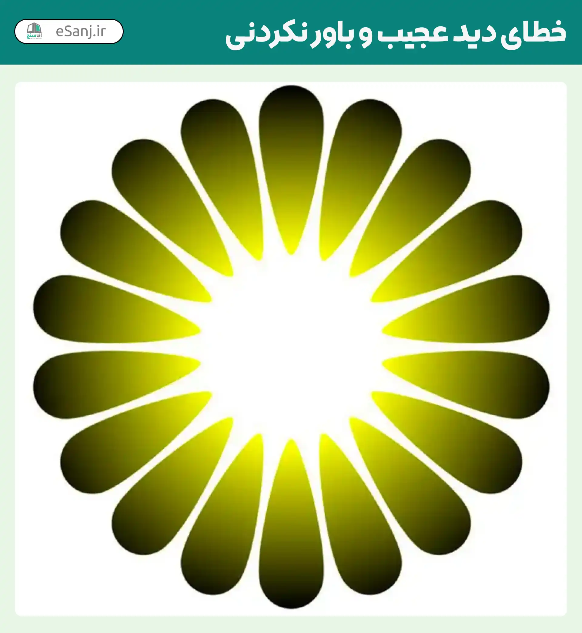 خطای دید عجیب و باور نکردنی شماره 10