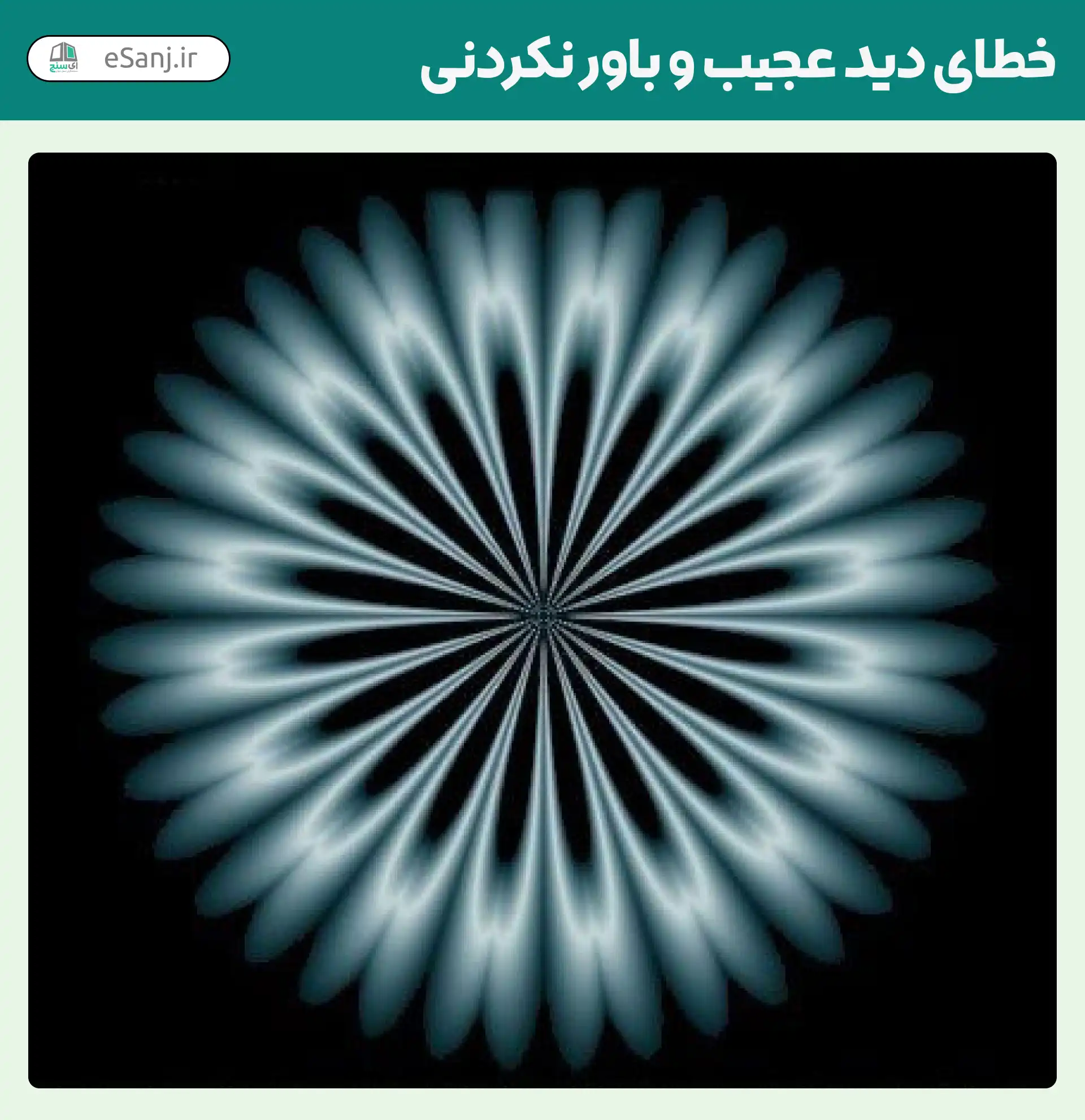 خطای دید عجیب و باور نکردنی شماره 2