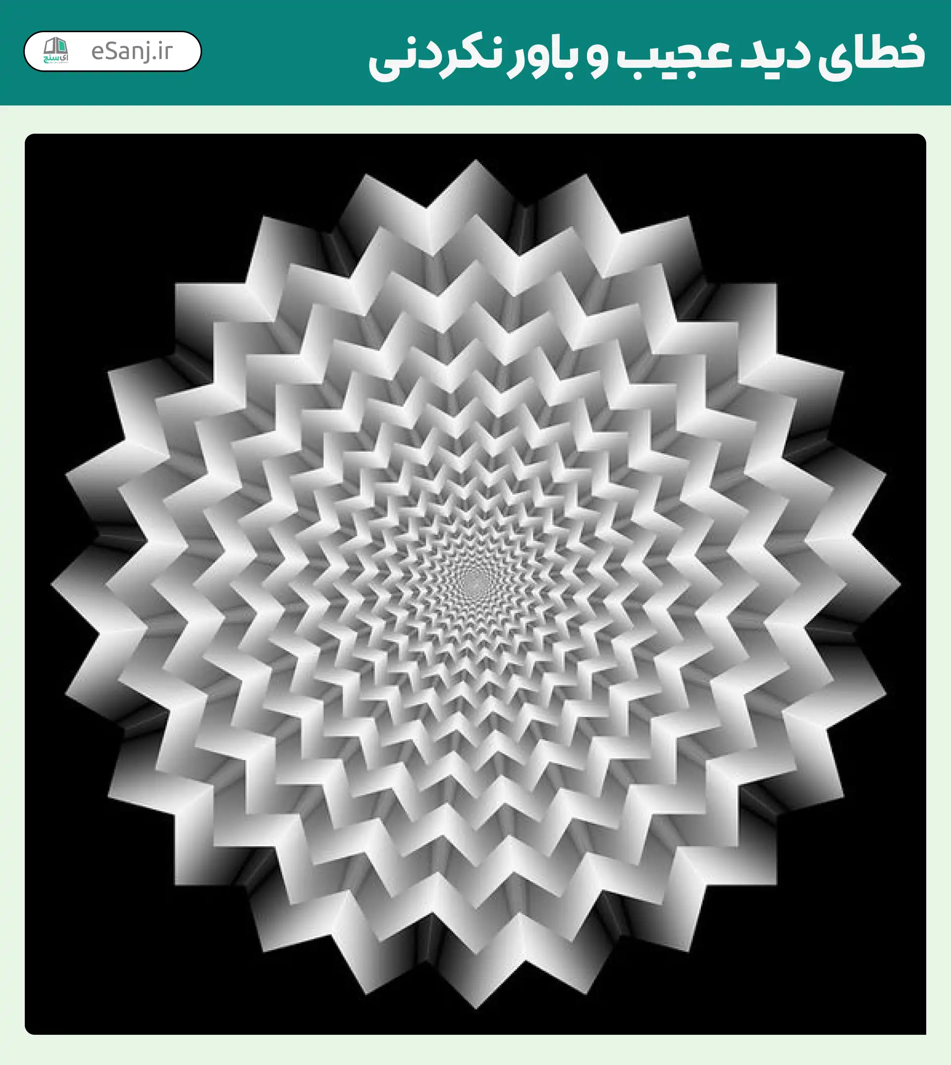 خطای دید عجیب و باور نکردنی شماره 12