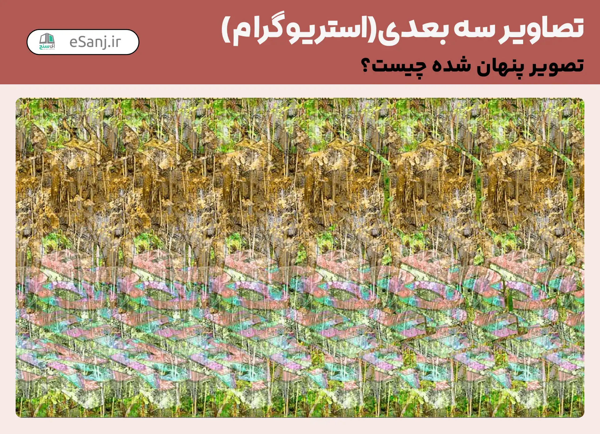 تصاویر سه بعدی (استریوگرام) شماره 1