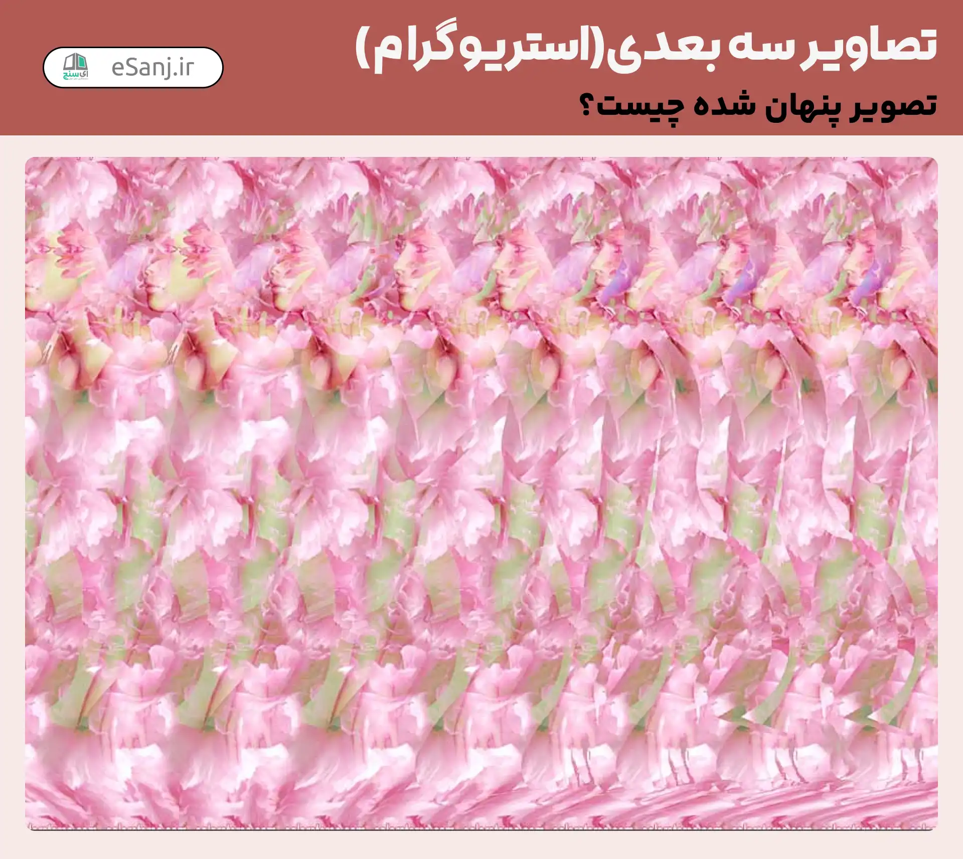 تصاویر سه بعدی (استریوگرام) شماره 10