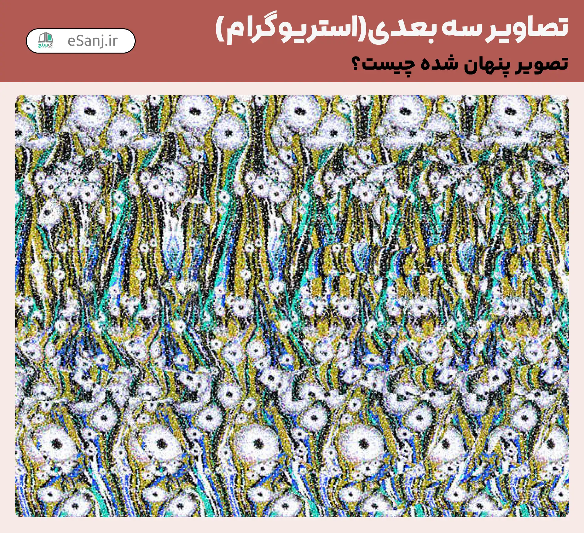 تصاویر سه بعدی( استریوگرام) شماره 12