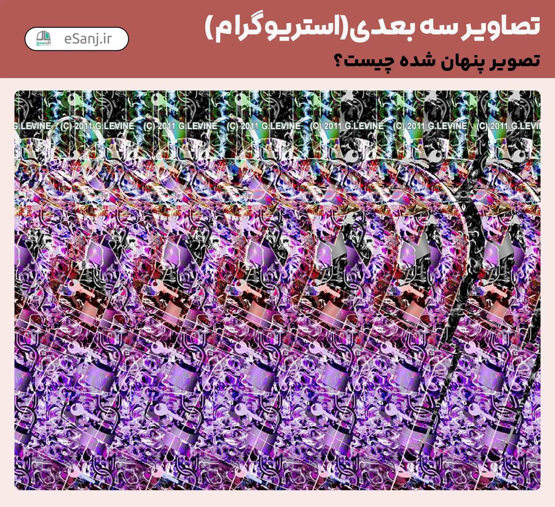 تصاویر سه بعدی( استریوگرام) شماره 15