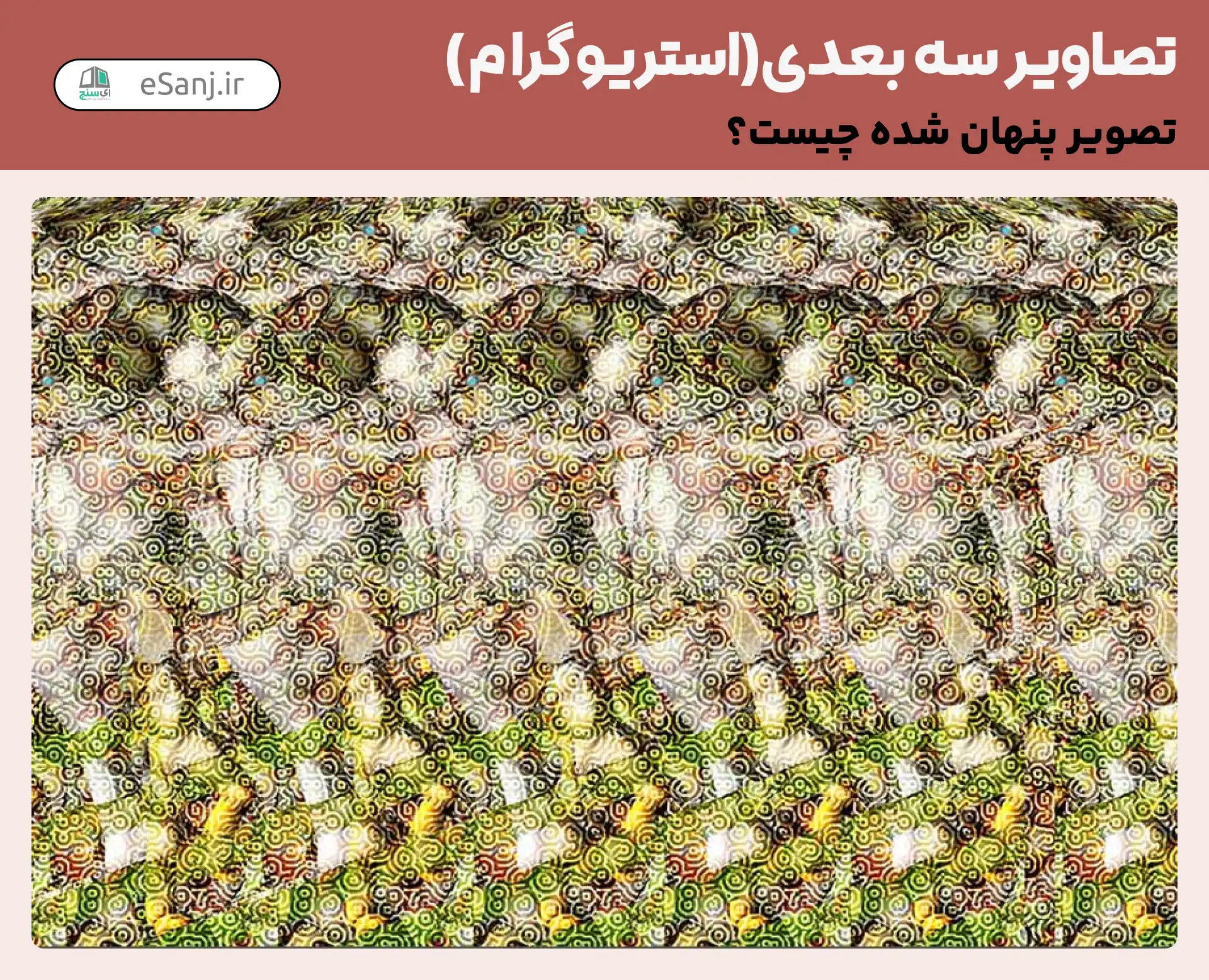 تصاویر سه بعدی( استریوگرام) شماره 16