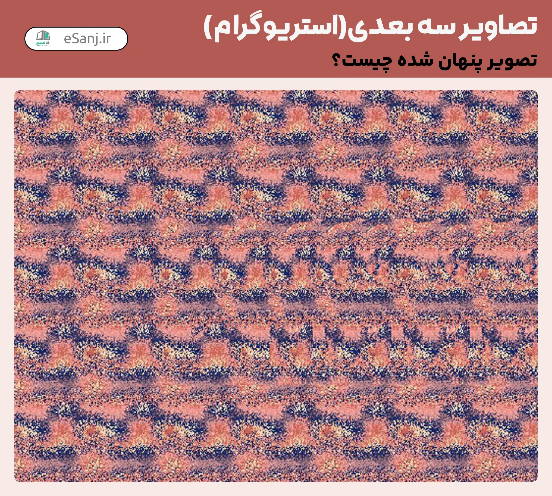 تصاویر سه بعدی( استریوگرام) شماره 17