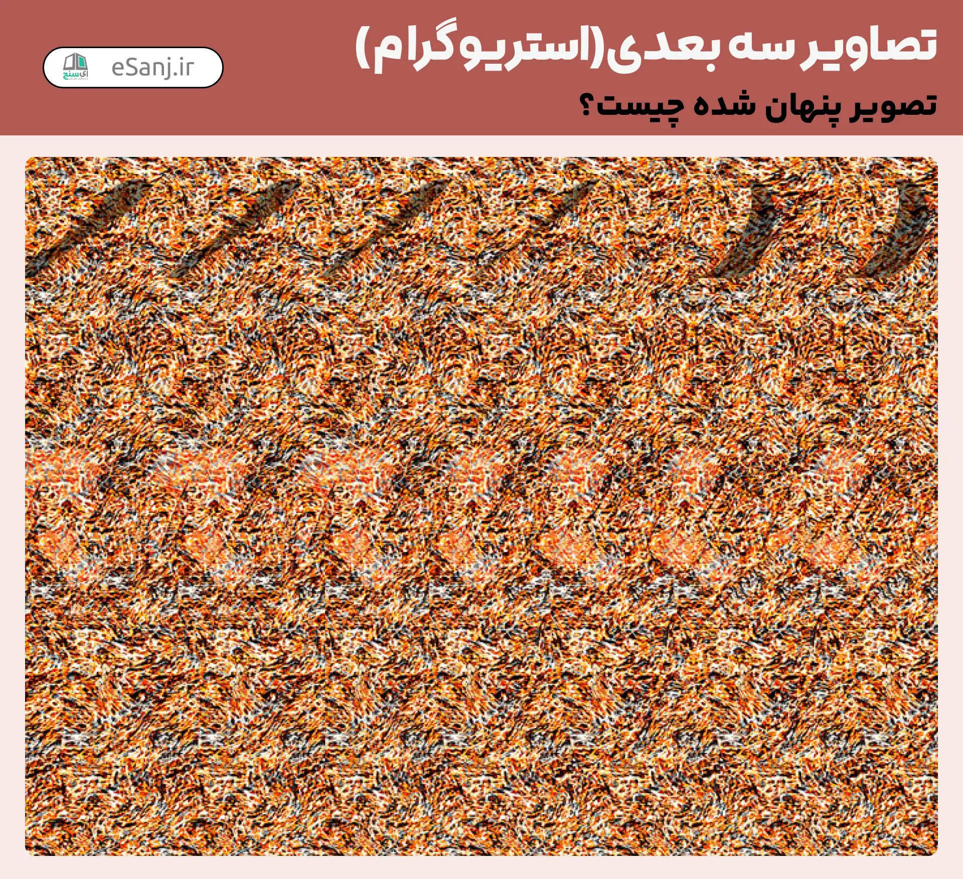 تصاویر سه بعدی( استریوگرام) شماره 18
