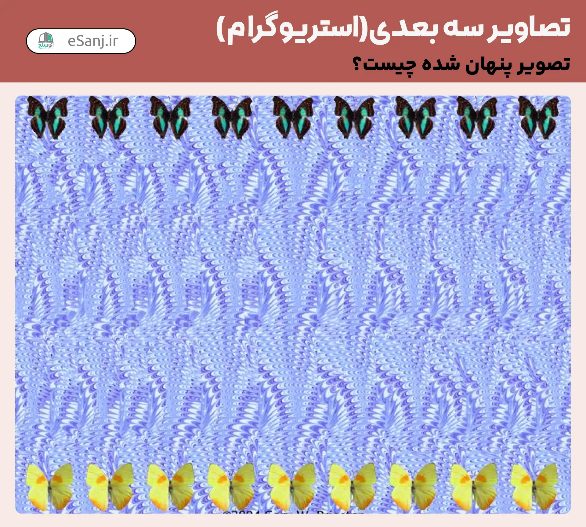 تصاویر سه بعدی ( استریوگرام) شماره 26