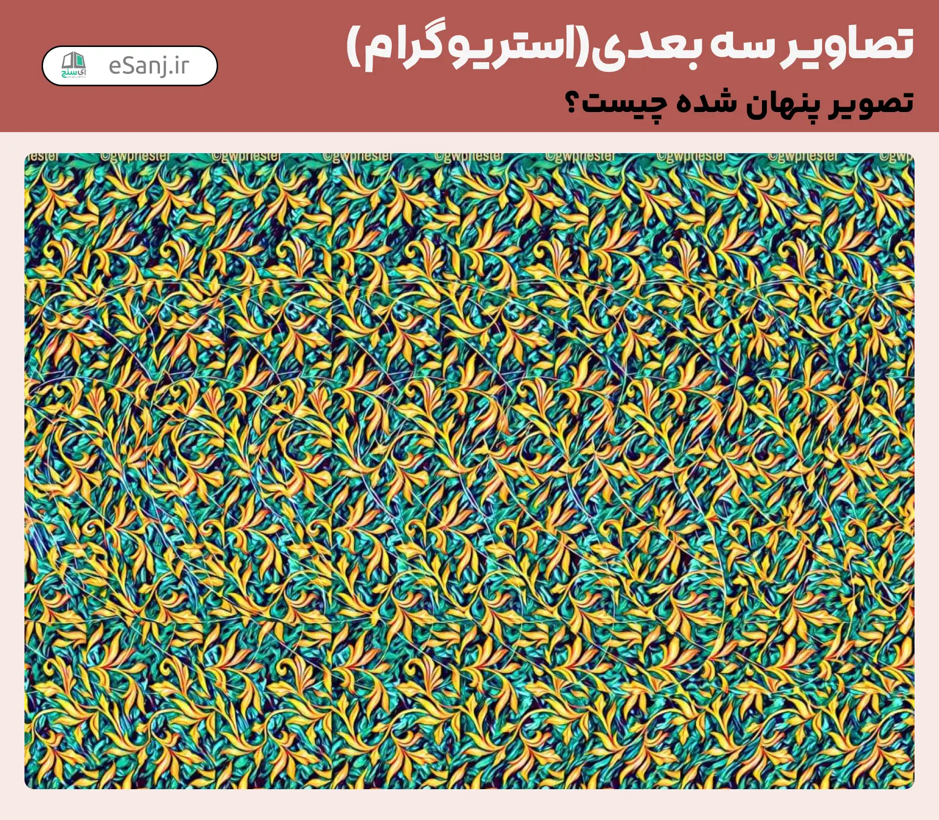 تصاویر سه بعدی ( استریوگرام) شماره 29