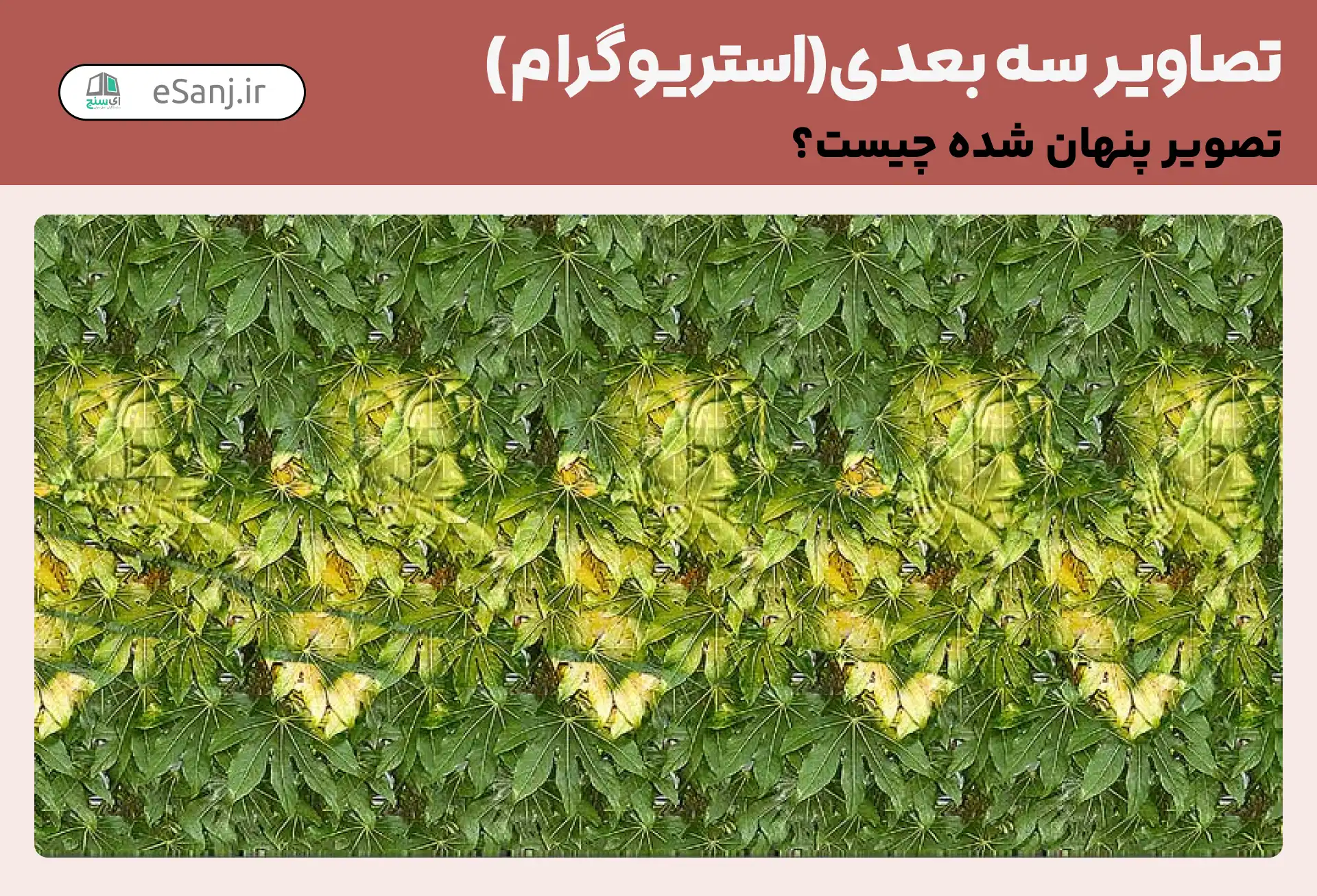 تصاویر سه بعدی (استریوگرام) شماره 3