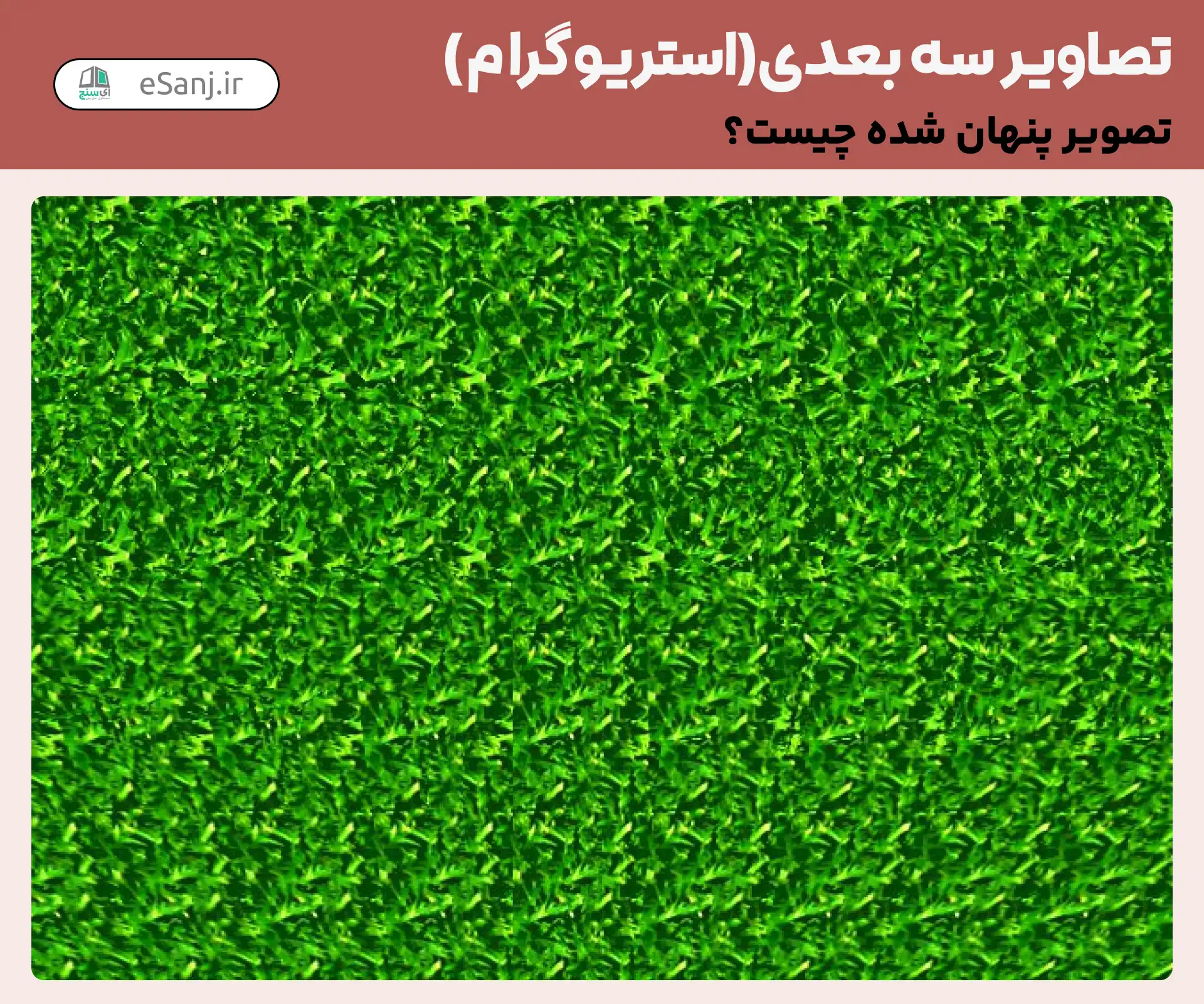 تصاویر سه بعدی ( استریوگرام) شماره 33