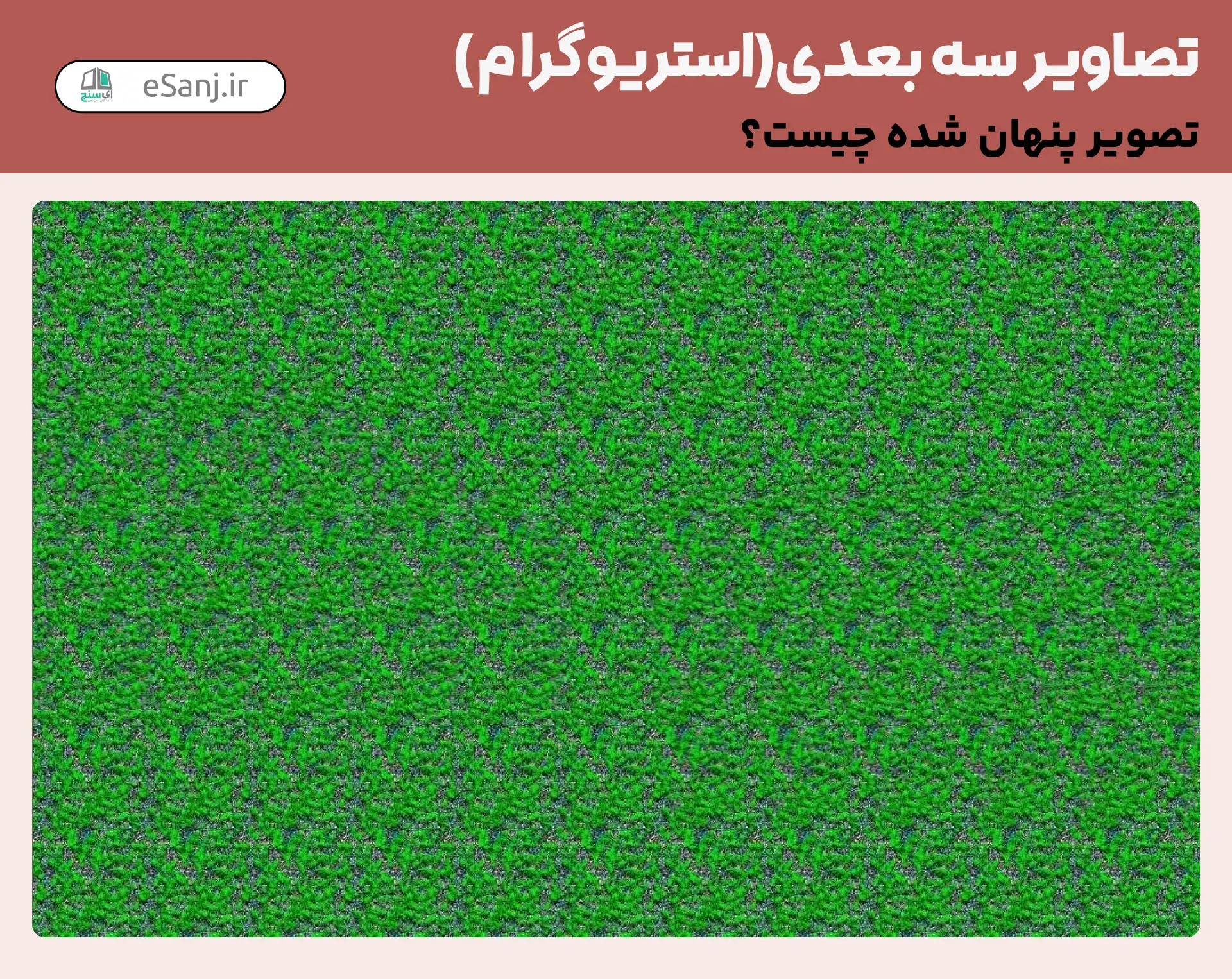 تصاویر سه بعدی ( استریوگرام) شماره 37