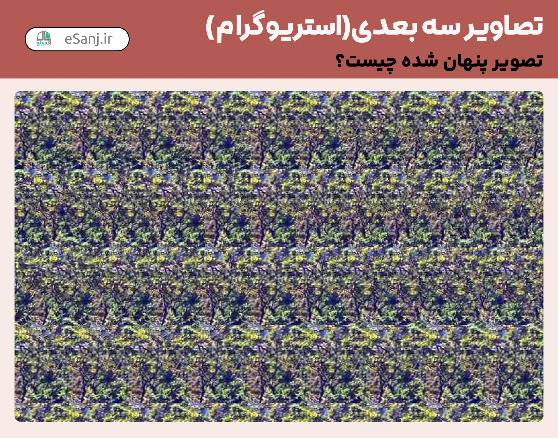 تصاویر سه بعدی ( استریوگرام) شماره 39