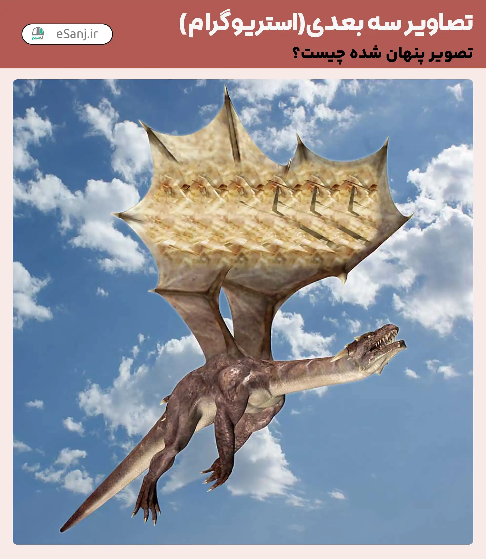 تصاویر سه بعدی (استریوگرام) شماره 4