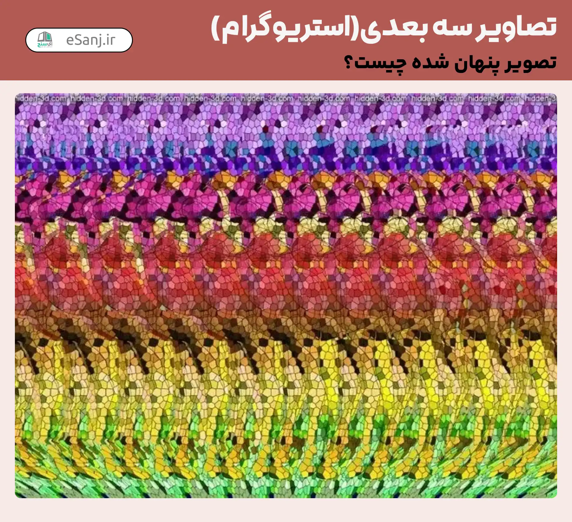 تصاویر سه بعدی ( استریوگرام) شماره 47