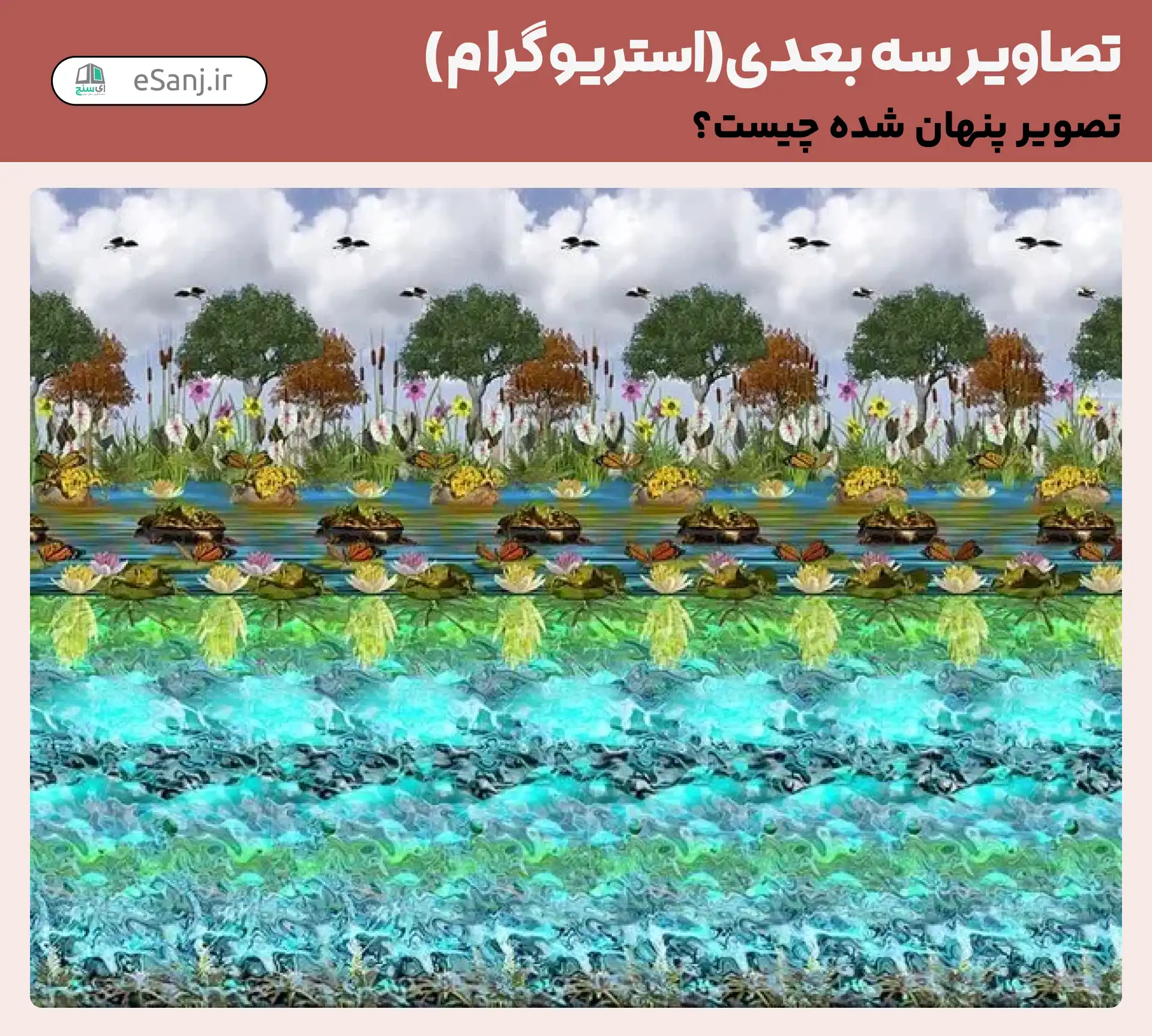 تصاویر سه بعدی ( استریوگرام) شماره 48